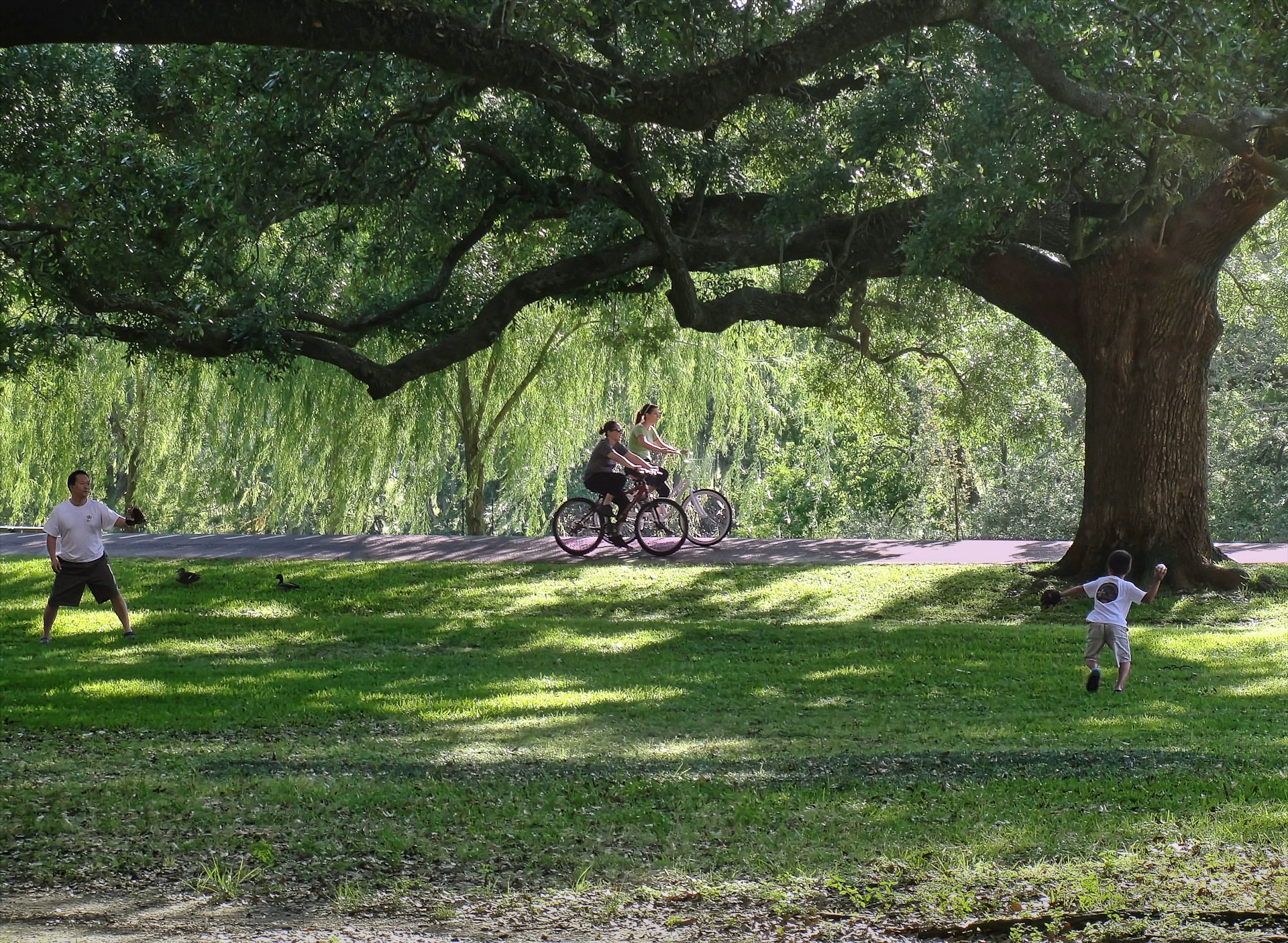 An adult and child play baseball while two cyclists ride by in parkland