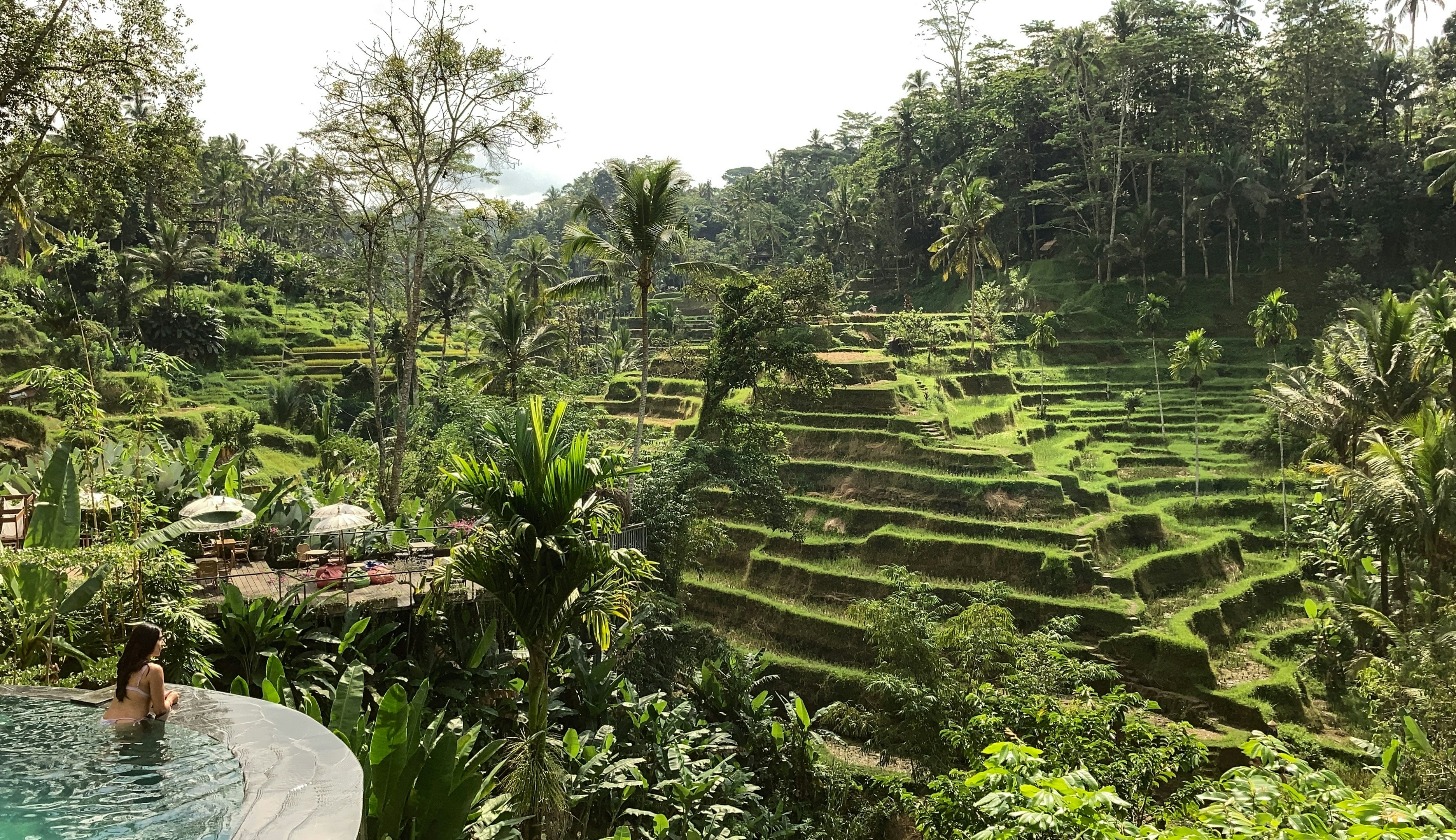 A girl swims in a pool overlooking the rice terrace in Ubud, Indonesia