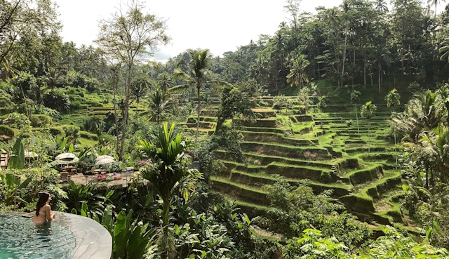 Ubud serves up vivid views of tumbling rice terraces at every turn. Asyraf Rasid/Shutterstock