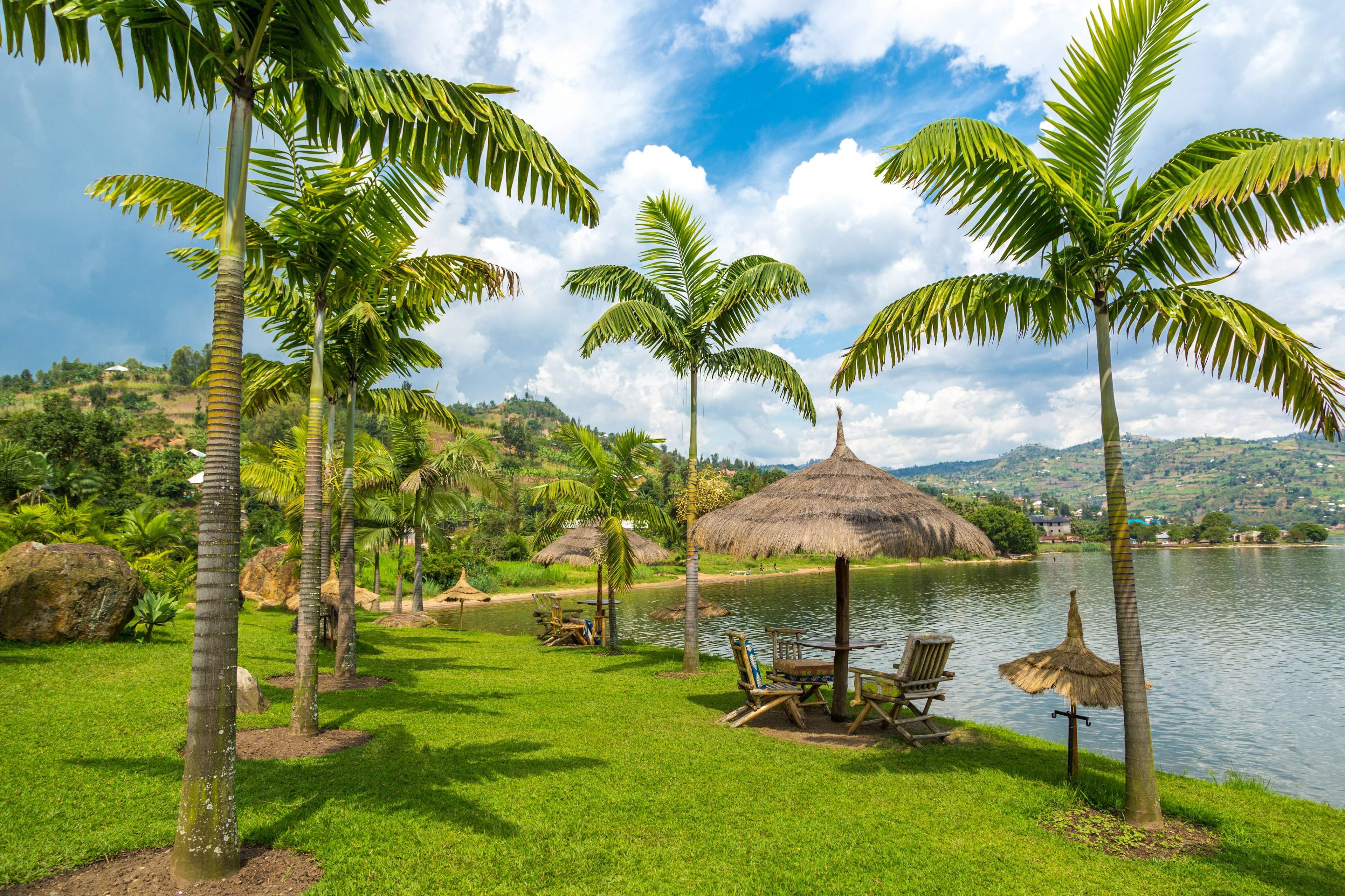 Sun shades and chairs set up under palm trees beside a vast lake