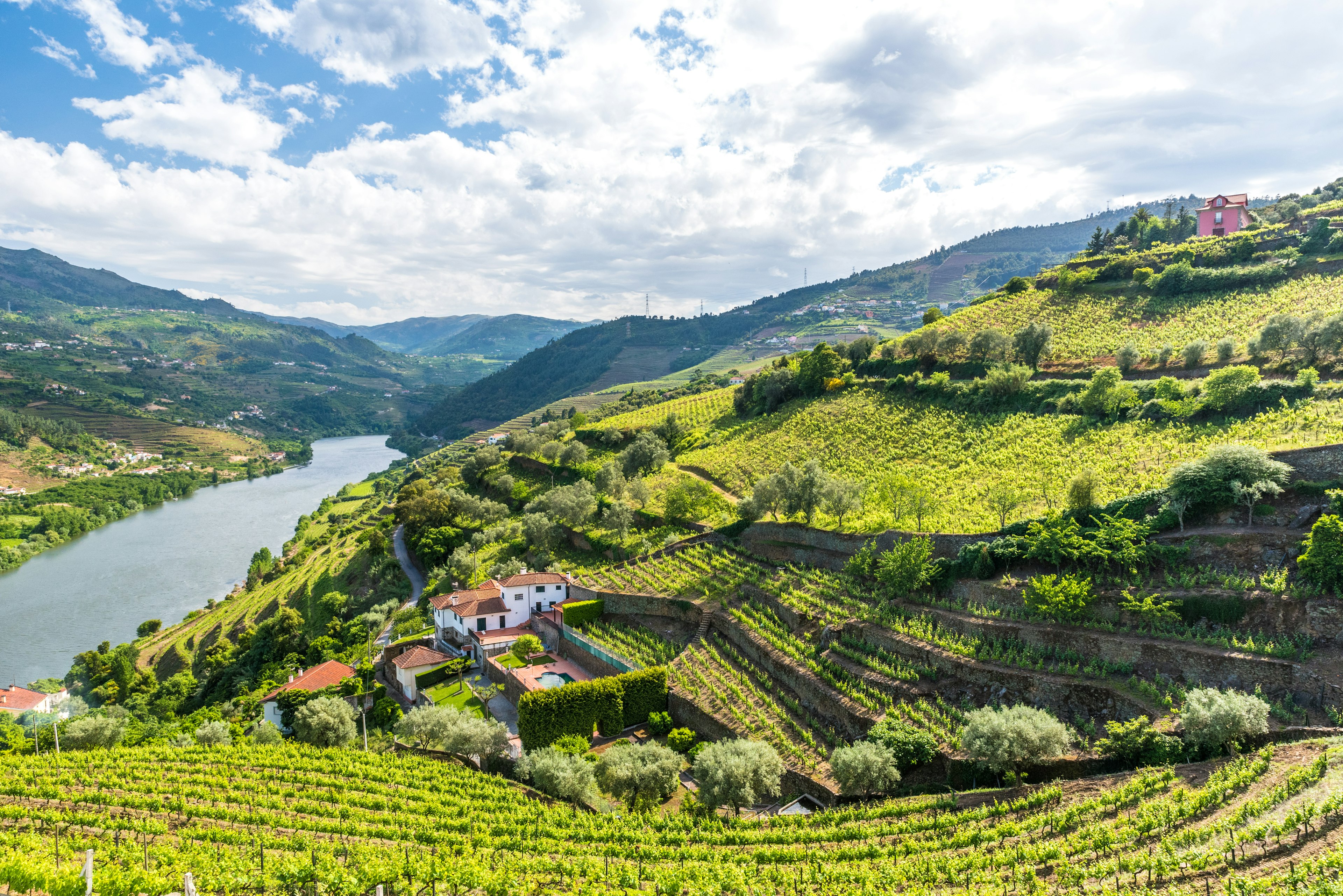 Explore the lush undulation of the Douro Valley. Simon Dannhauer/Shutterstock