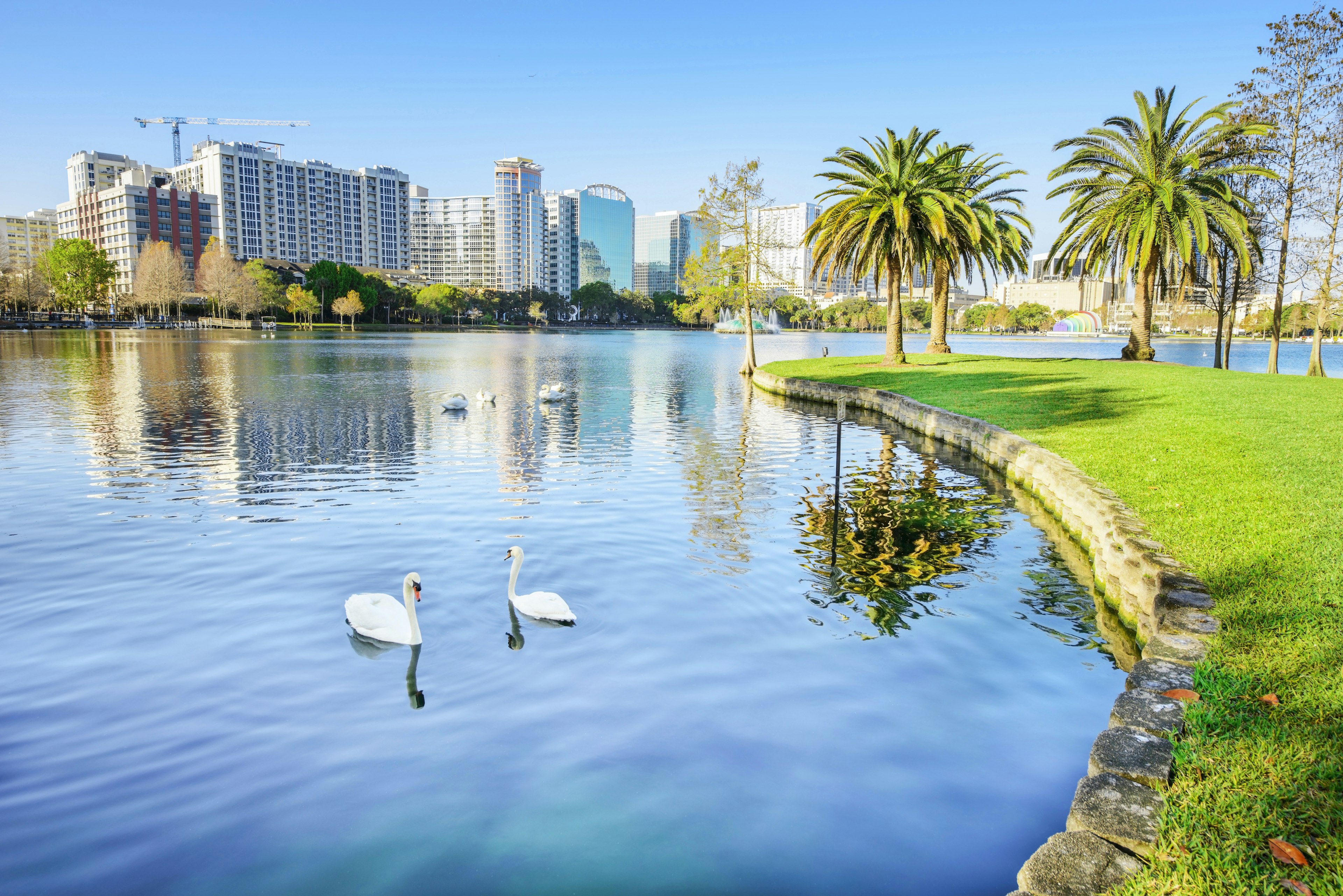 Commune with the swans during a walk around Lake Eola in the center of downtown Orlando. Shutterstock