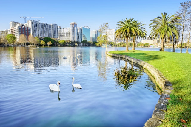 Commune with the swans during a walk around Lake Eola in the center of downtown Orlando. Shutterstock