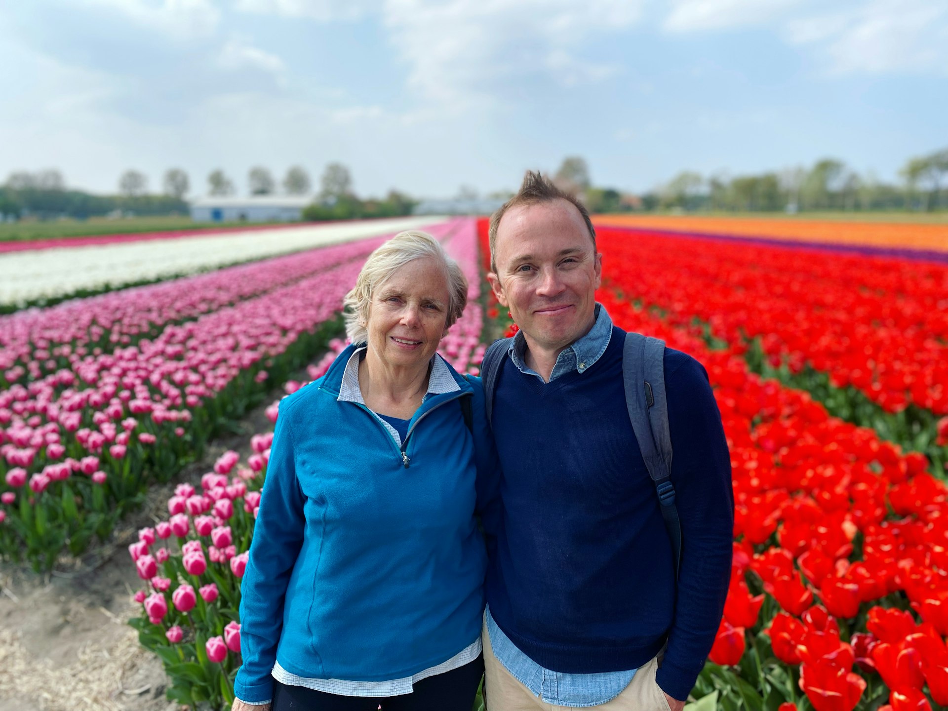 A man and woman pose in front of carefully planted rows of blooming tulips, Bollenstreek, Holland, the Netherlands