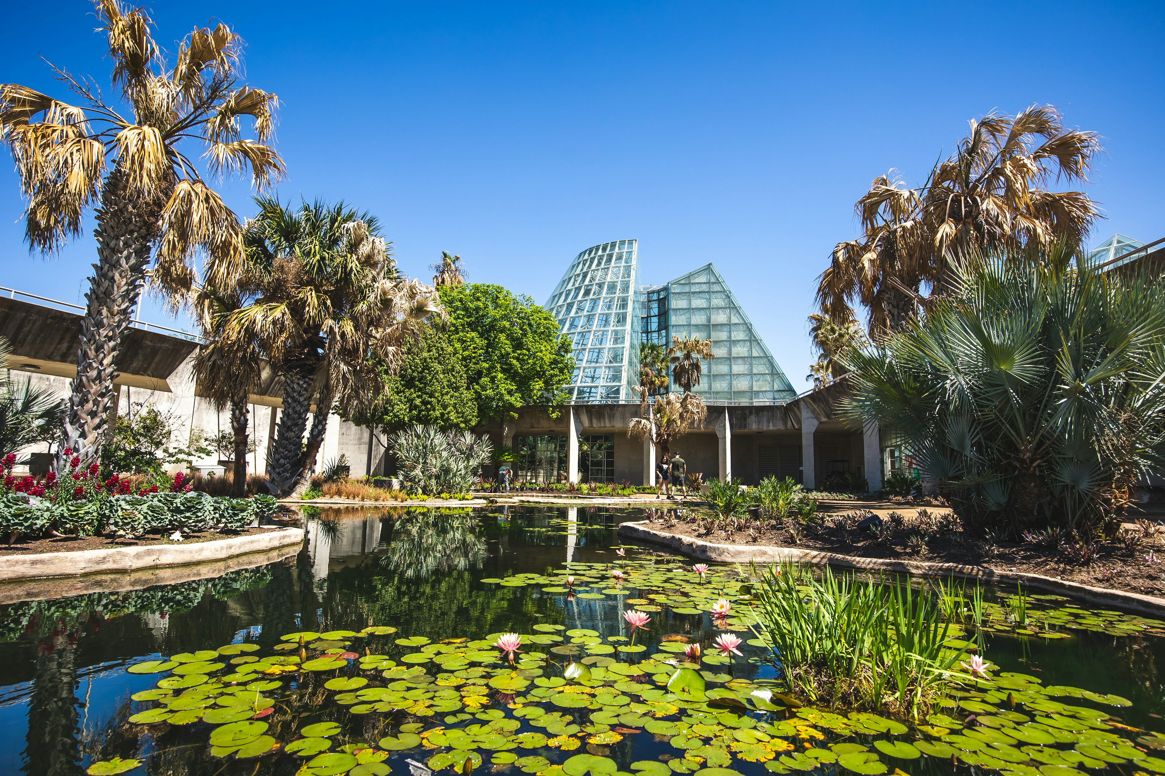 San Antonio Botanical Garden