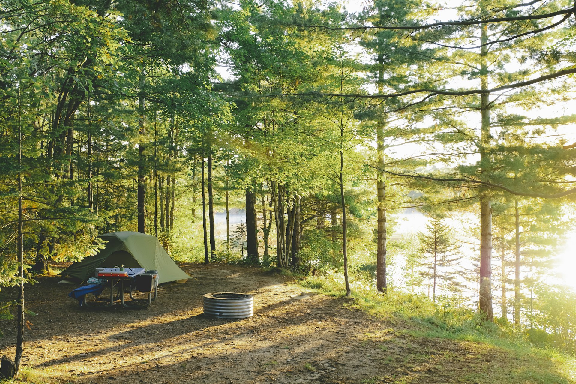 A campsite with a tent, surrounded by trees and greenery as the sun comes up in the morning