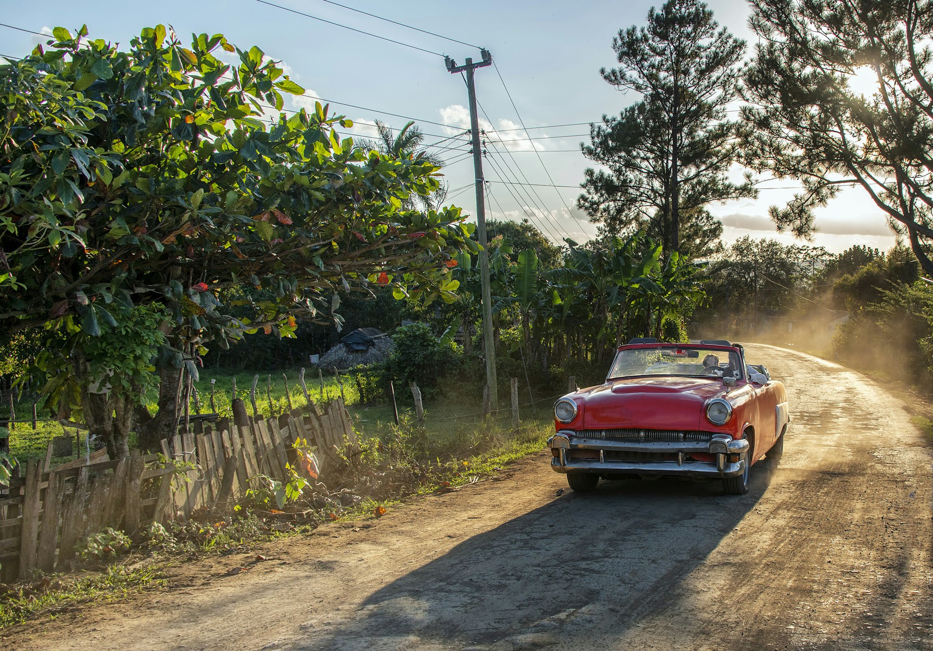 A person driving a vintage car on an unmade road in վñ, a beautiful and lush valley in Pinar del Río Province, Cuba