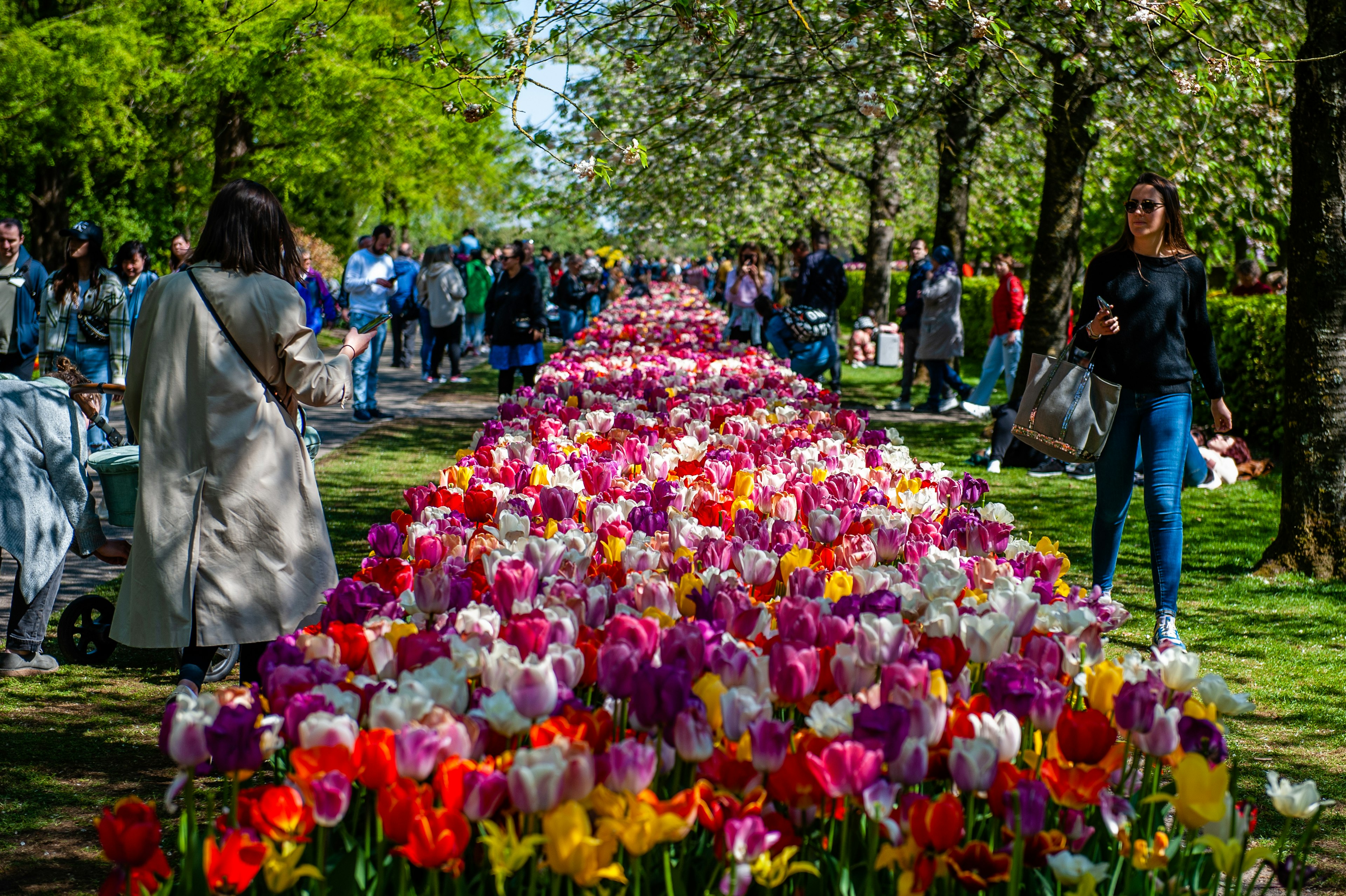 Crowds admire the tulips at Keukenhof flower garden, Lisse, Holland, the Netherlands