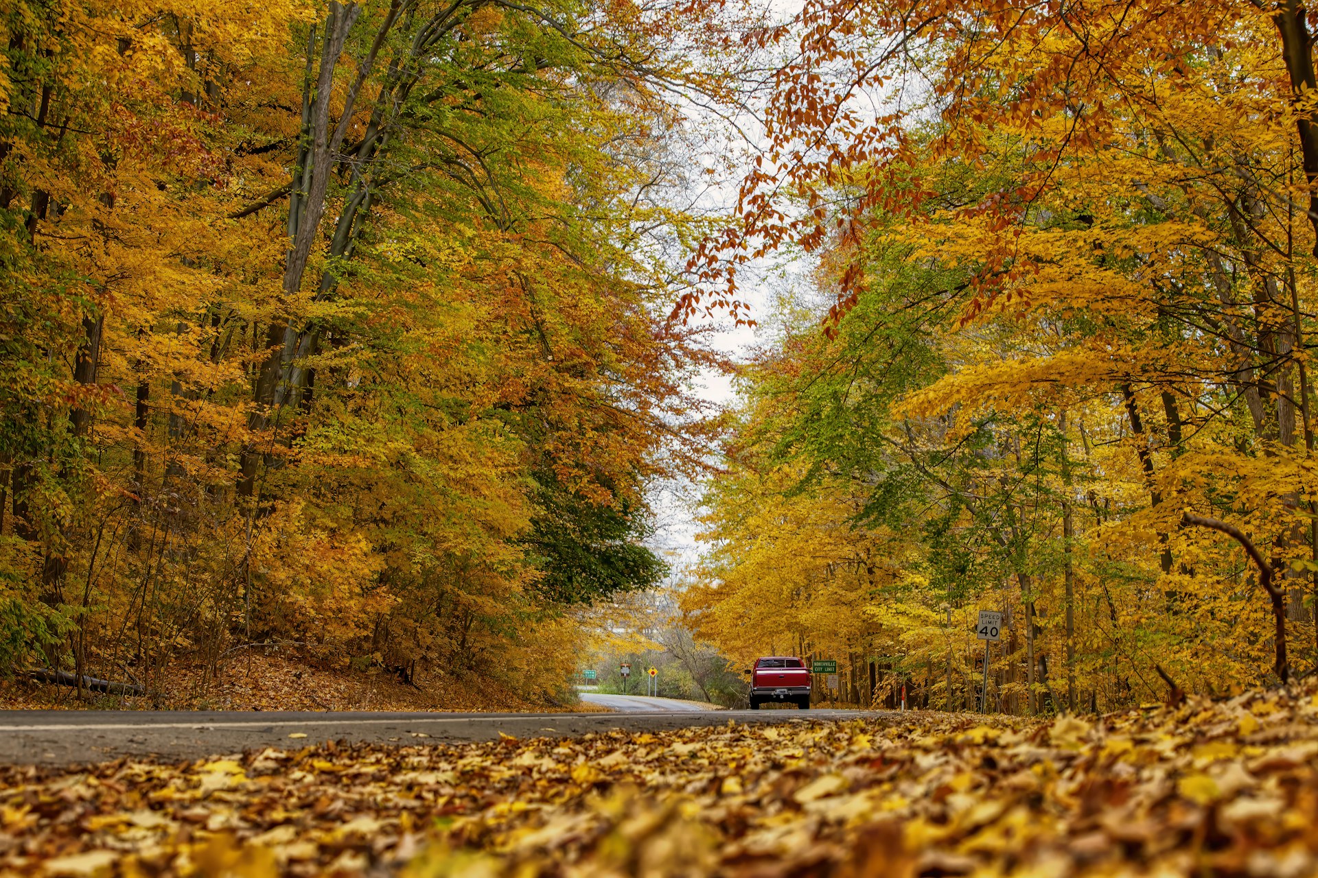A low-angle shot of a red pickup truck driving through vibrant orange and red foliage on a curvy road