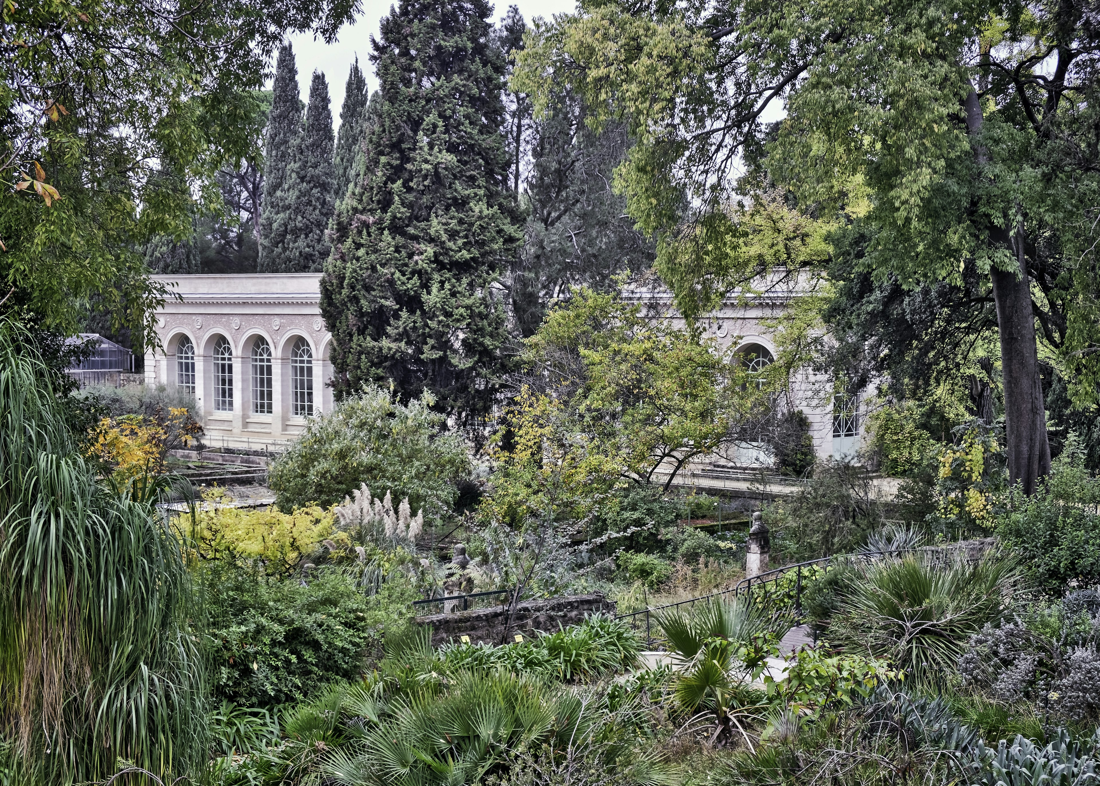 View of some lush botanical gardens