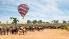 best time african safari kenya