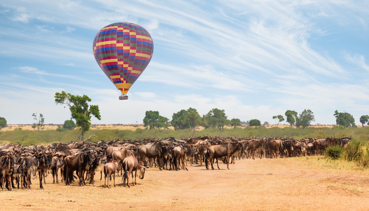 Hot Air Balloon and Wildebeest herd at wild at animal migration
1397698590