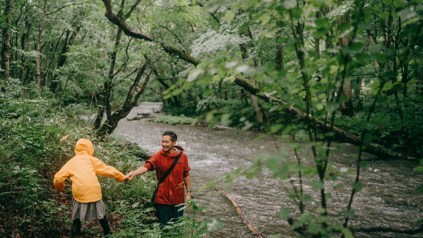 Father and child hiking in rainy forest with river
1408819302