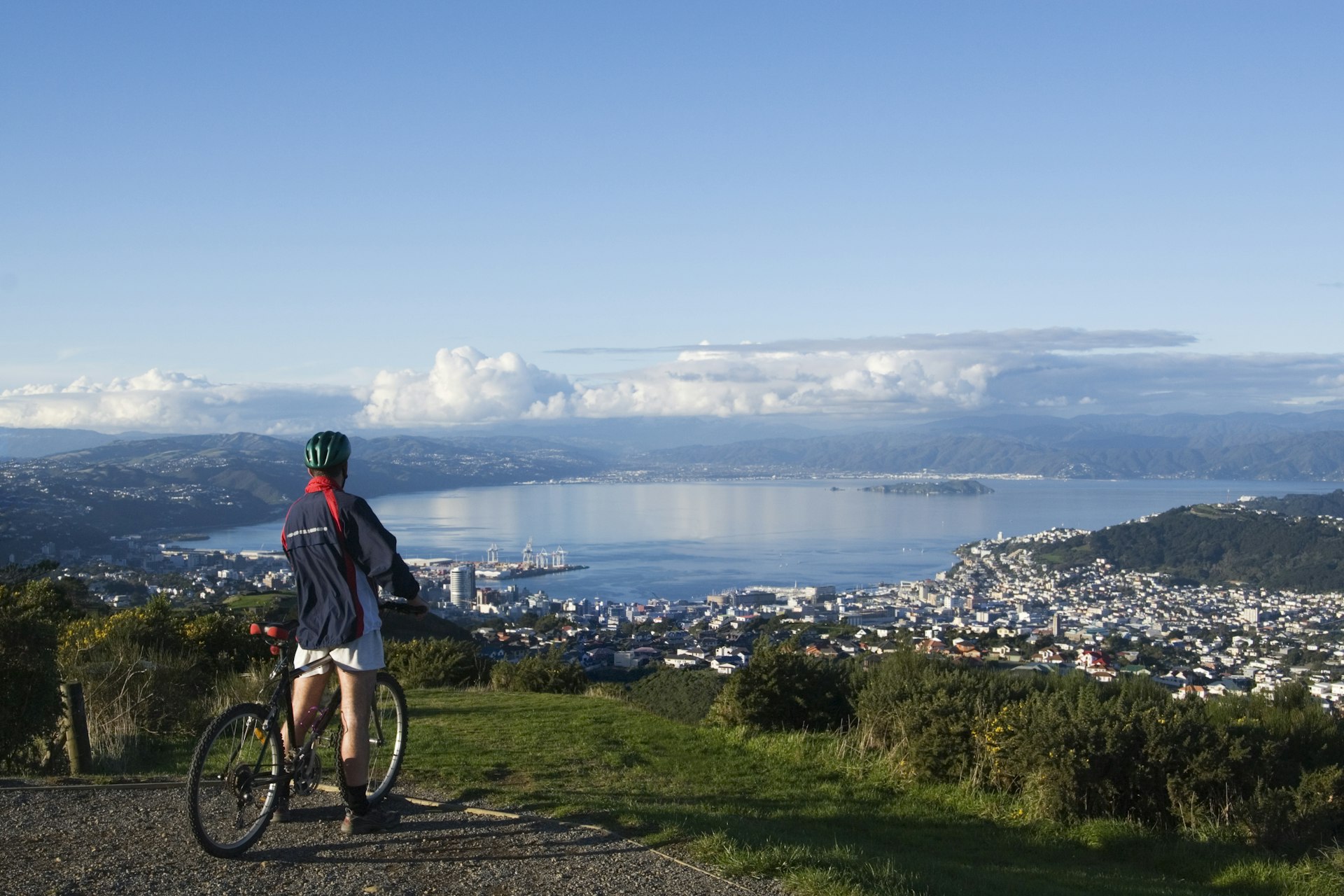 A man with a mountain bike stands at the top of a hill overlooking Wellington, North Island, New Zealand