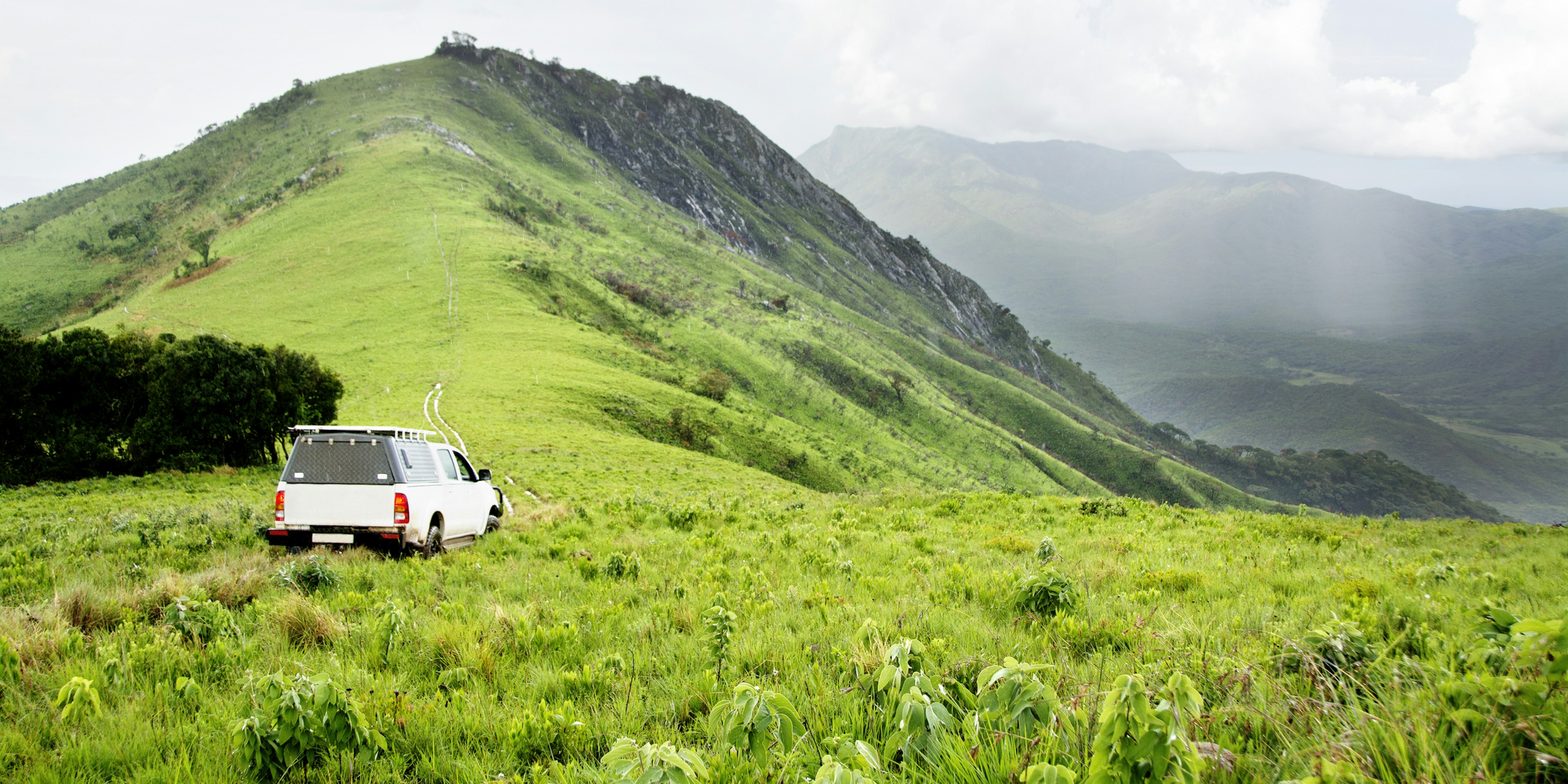 A four-wheel drive vehicle in lush green grassland