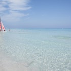 539884247
Beach, Blue, Canvas, Color Image, Copy Space, Day, Group Of People, Horizon Over Water, Horizontal, Journey, Leisure Activity, Men, Mid Distance, Mode Of Transport, Nautical Vessel, Outdoors, Photography, Sailboat, Sea, Sky, Transportation, Travel, Turquoise, Water, Varadero, Cuba