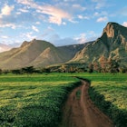 735999721
Mountain Range, Malawi, Landscape, Plant, Nature, Outdoors, No People, Rural Scene, The Way Forward, Grass, Field, Day, Beauty In Nature, Tranquil Scene, Sky, Cloud - Sky, Mountain, Scenics, Tranquility, Tea, Crop, Horizontal Image