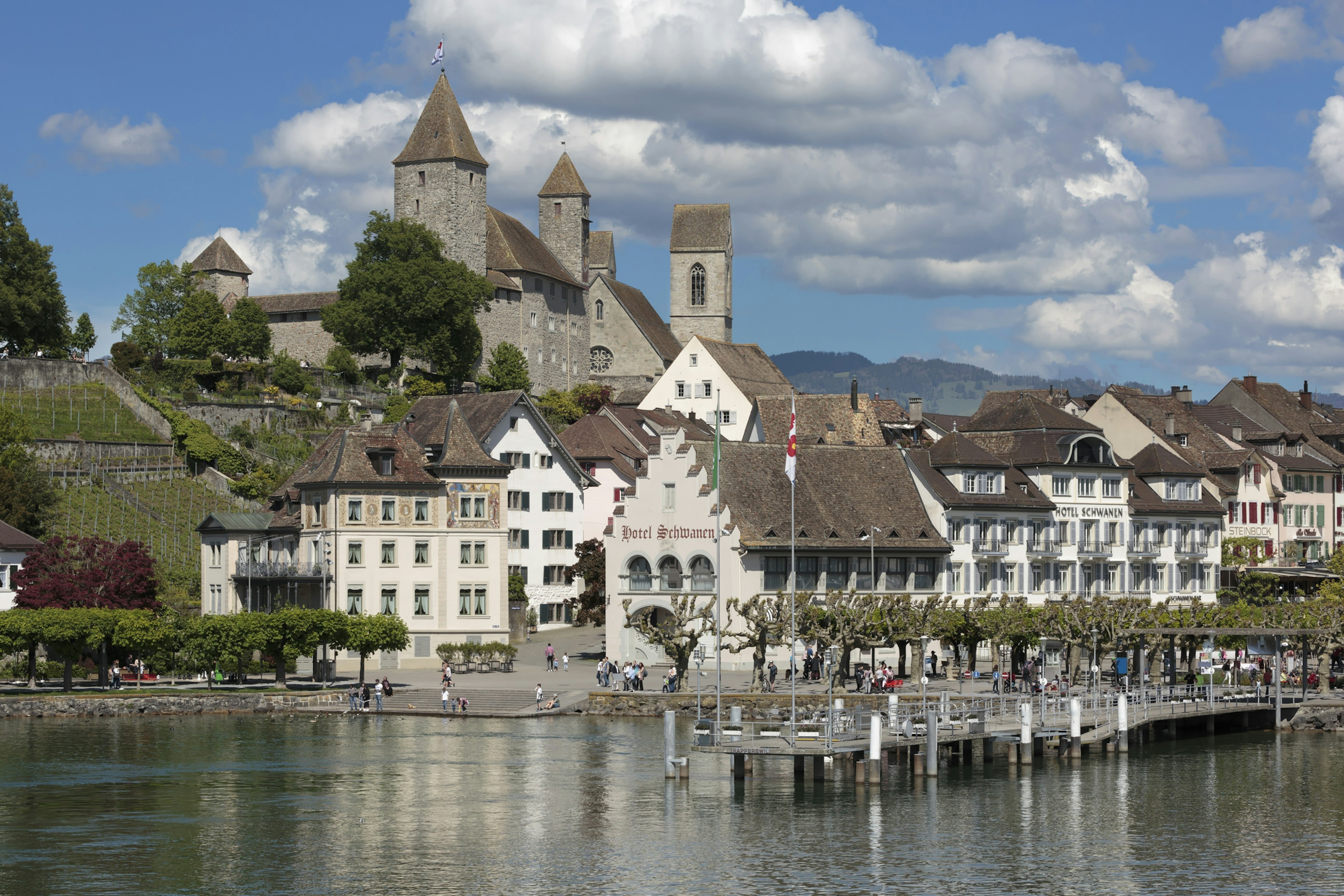 A historic harbor backed by a castle with a vineyard