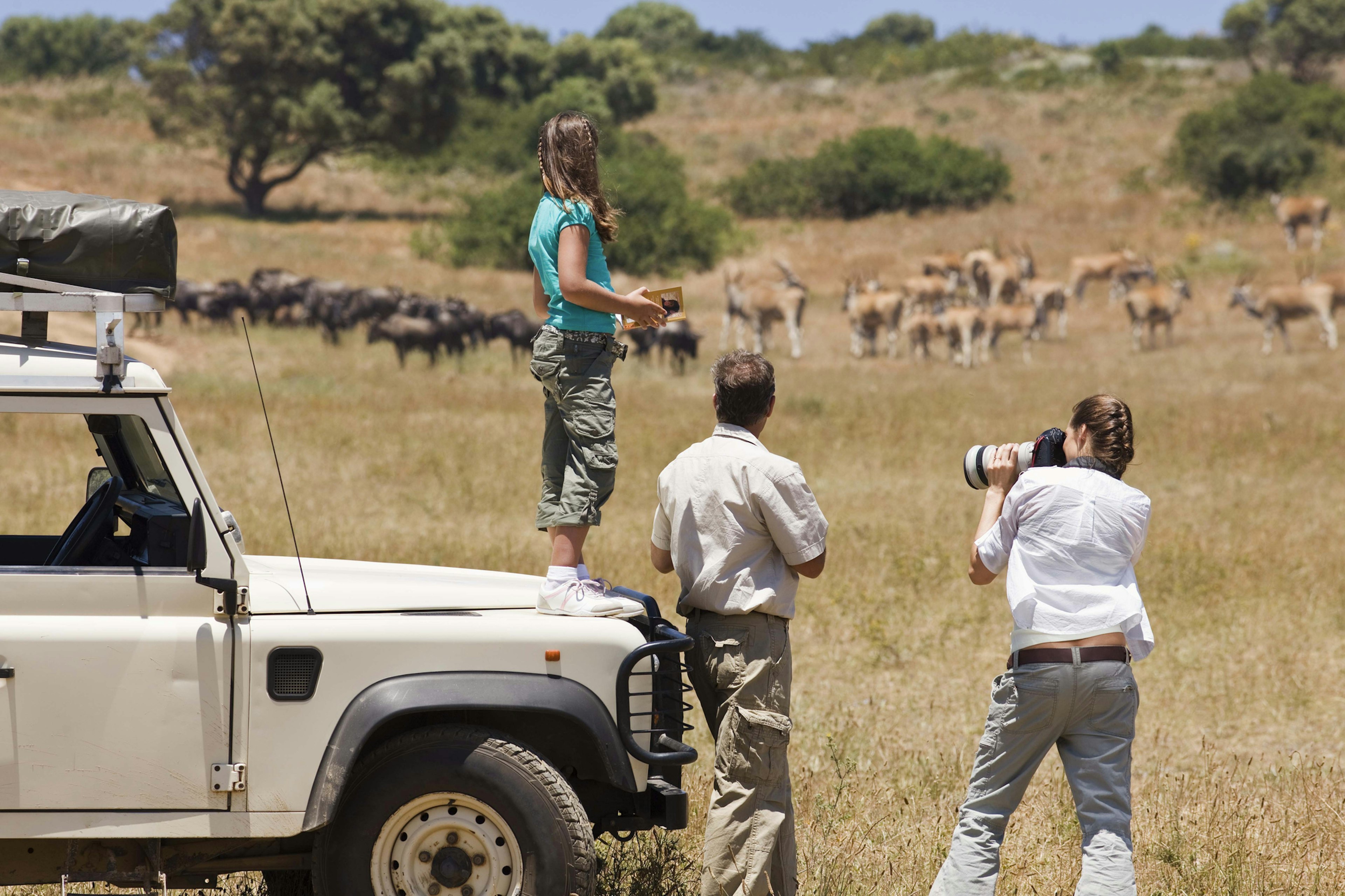 A teen stands on the hood of a safari truck looking out towards some wildlife