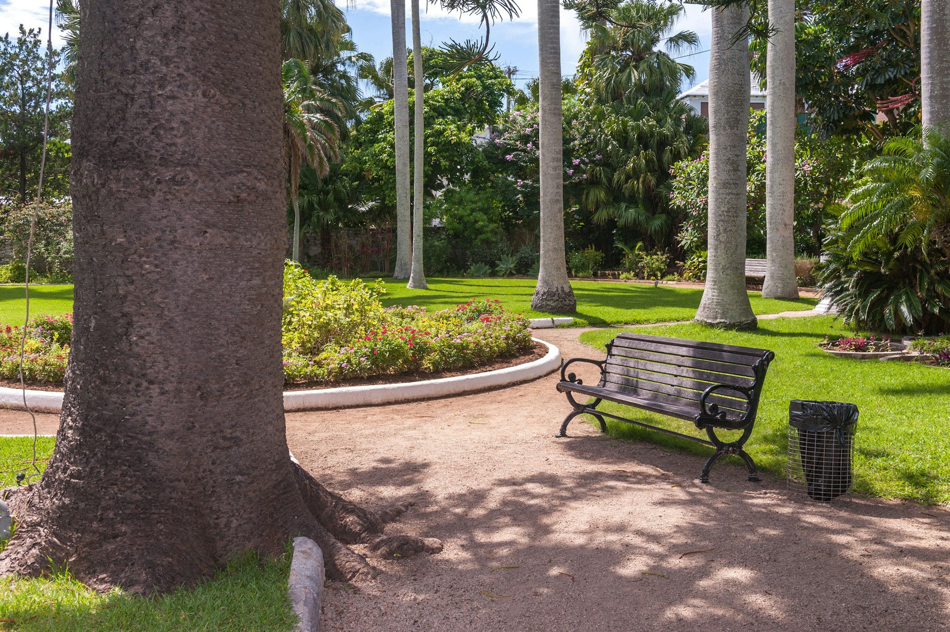 Central part of the Botanical garden of St. George, Bermuda with the bench under the shade of big trees near the pathway. Shot on a bright sunny day with no people.