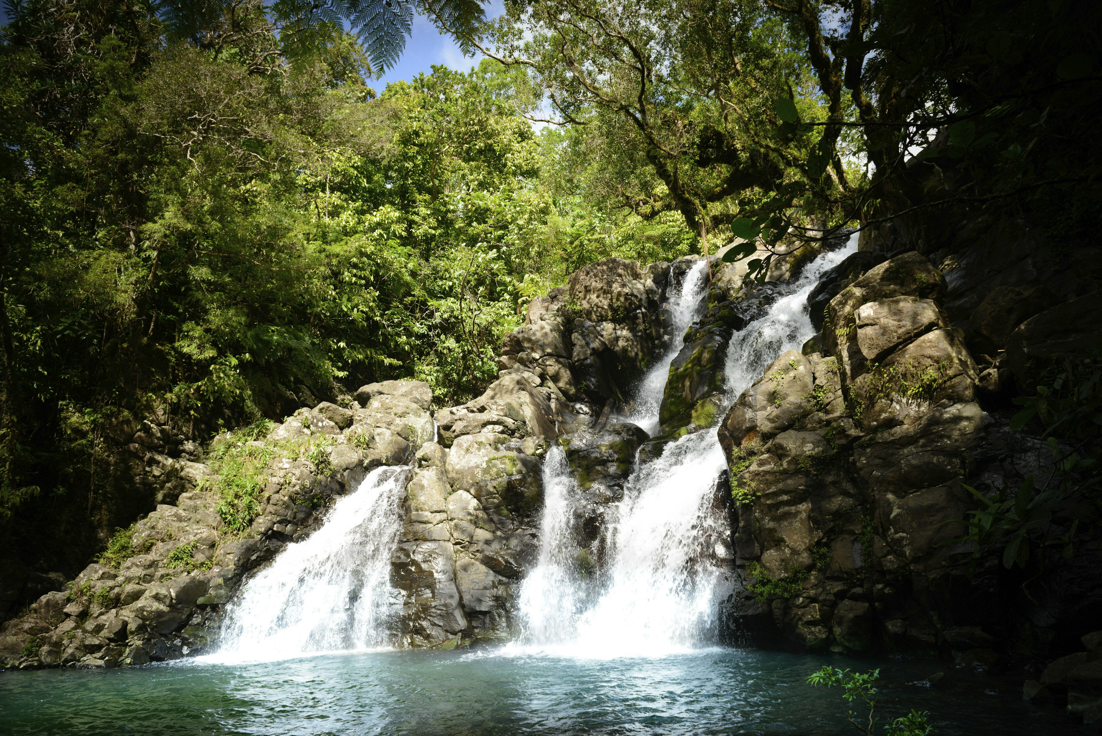 Jungle waterfall, deep in the jungle of the island of Taveuni in Fiji.