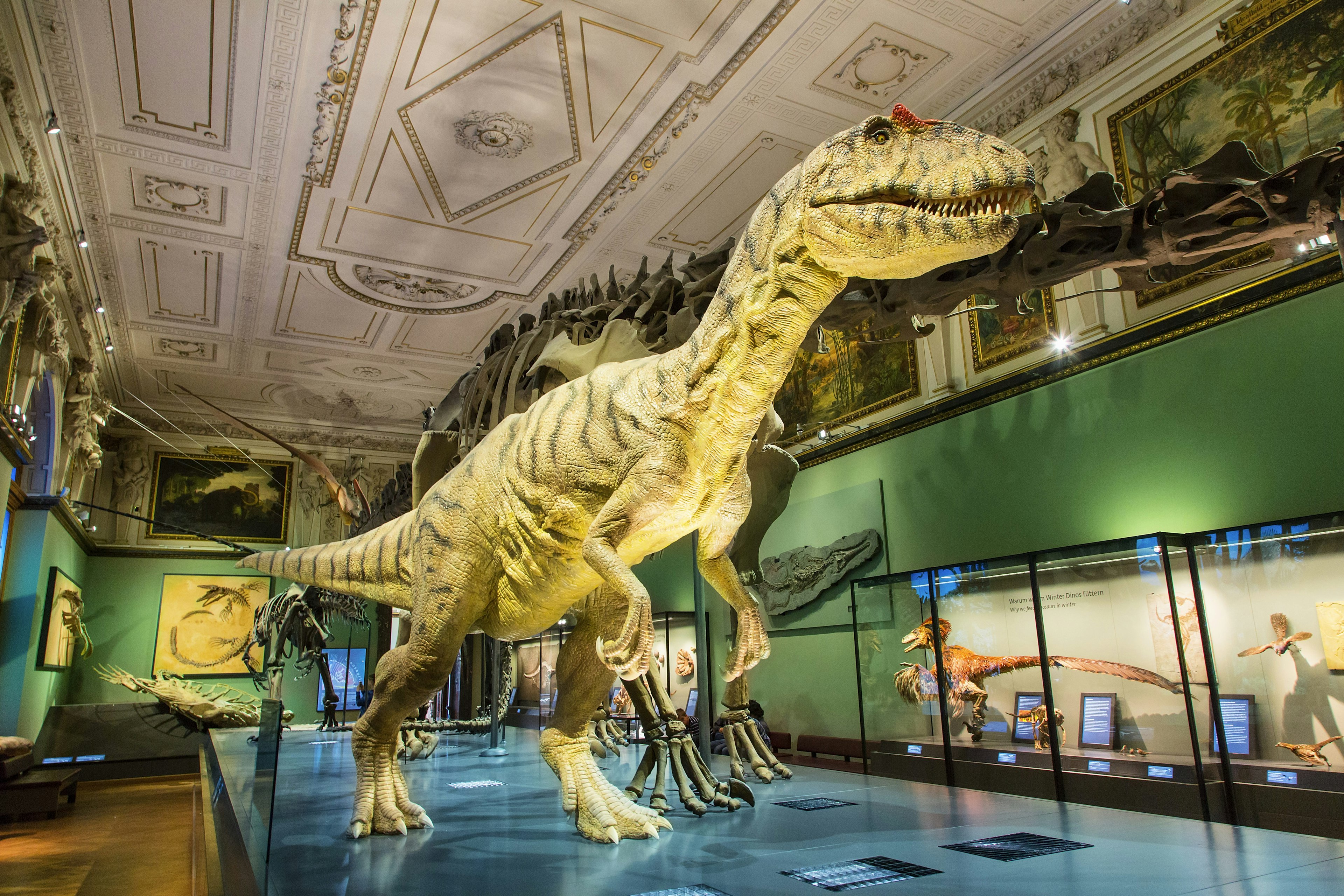 A huge model of a carnivorous dinosaur stands next to a complete skeleton of another inside the Natural History Museum in Vienna.