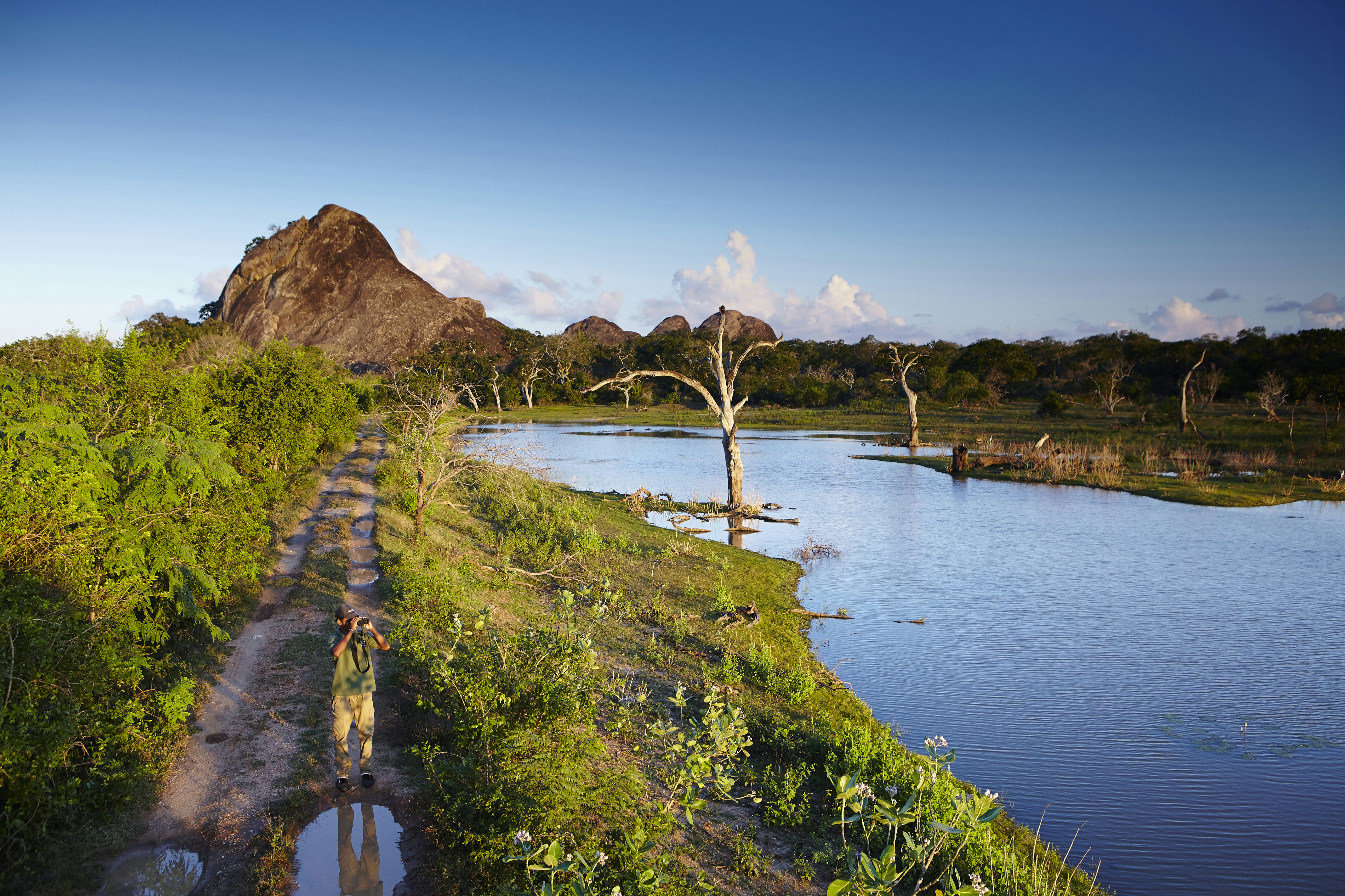 Man near waterhole scouring landscape with binoculars in Yala National Park.