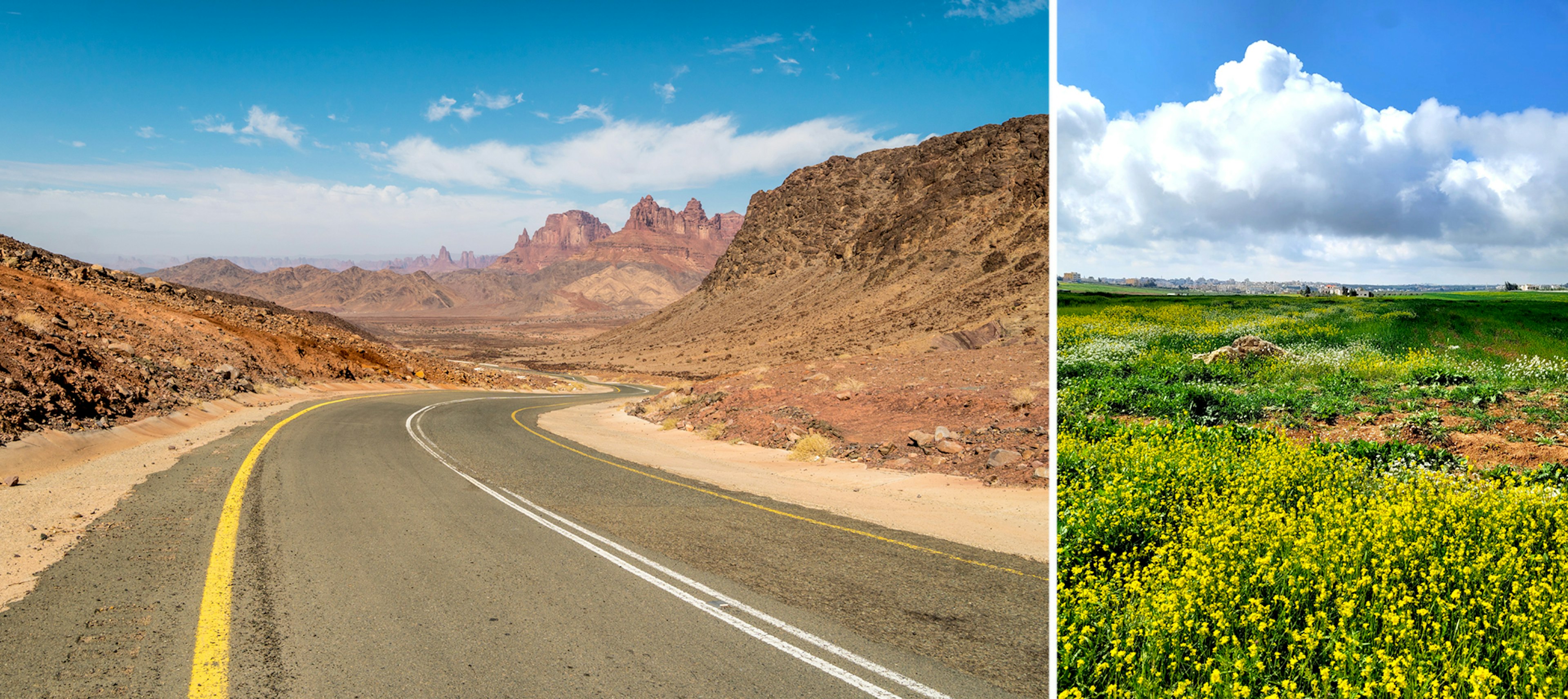 composite-getty-1462563697-Spring-in-Northern-Jordan.jpg