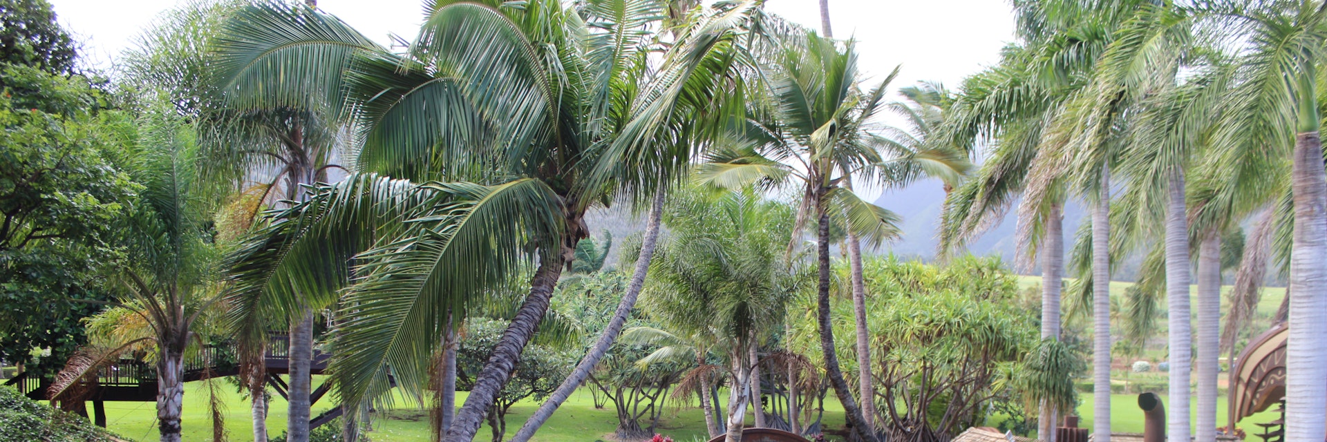Maui Tropical Plantation
