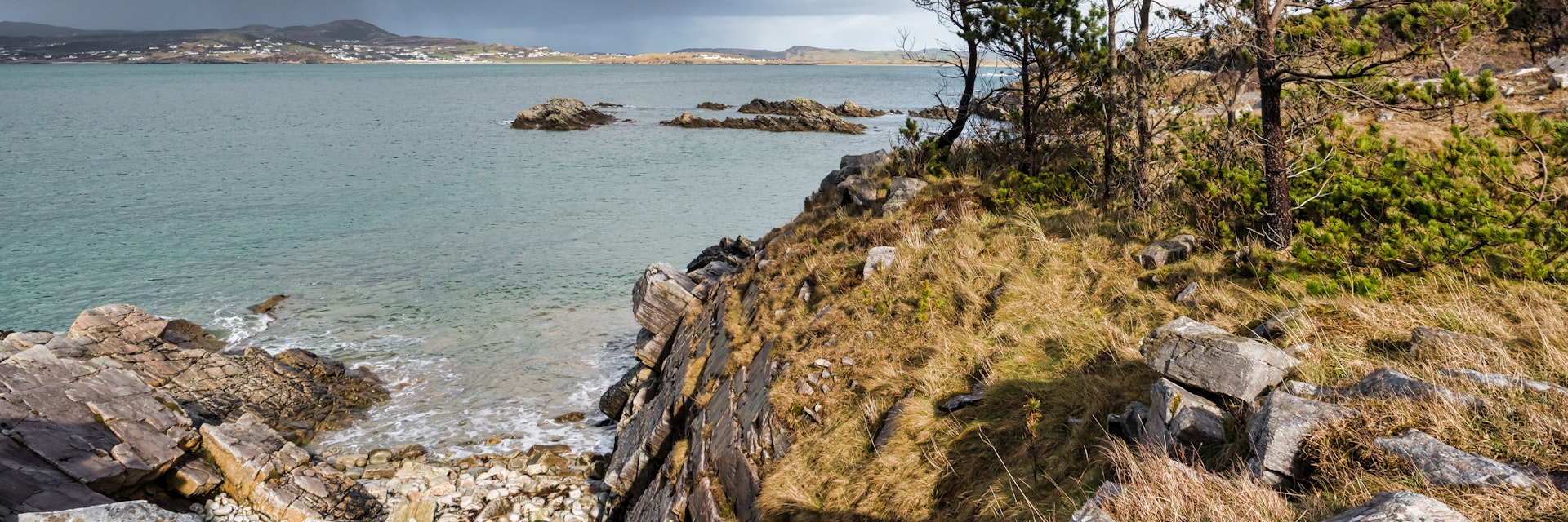 Pine trees on the rocky shores of Ards Forest Park in Donegal.