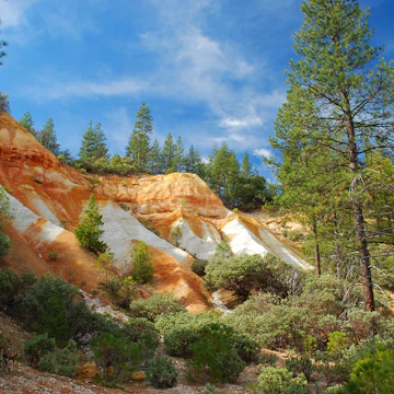 Malakoff Diggins State Historic Park is a state park unit preserving the largest hydraulic mining site in California.
