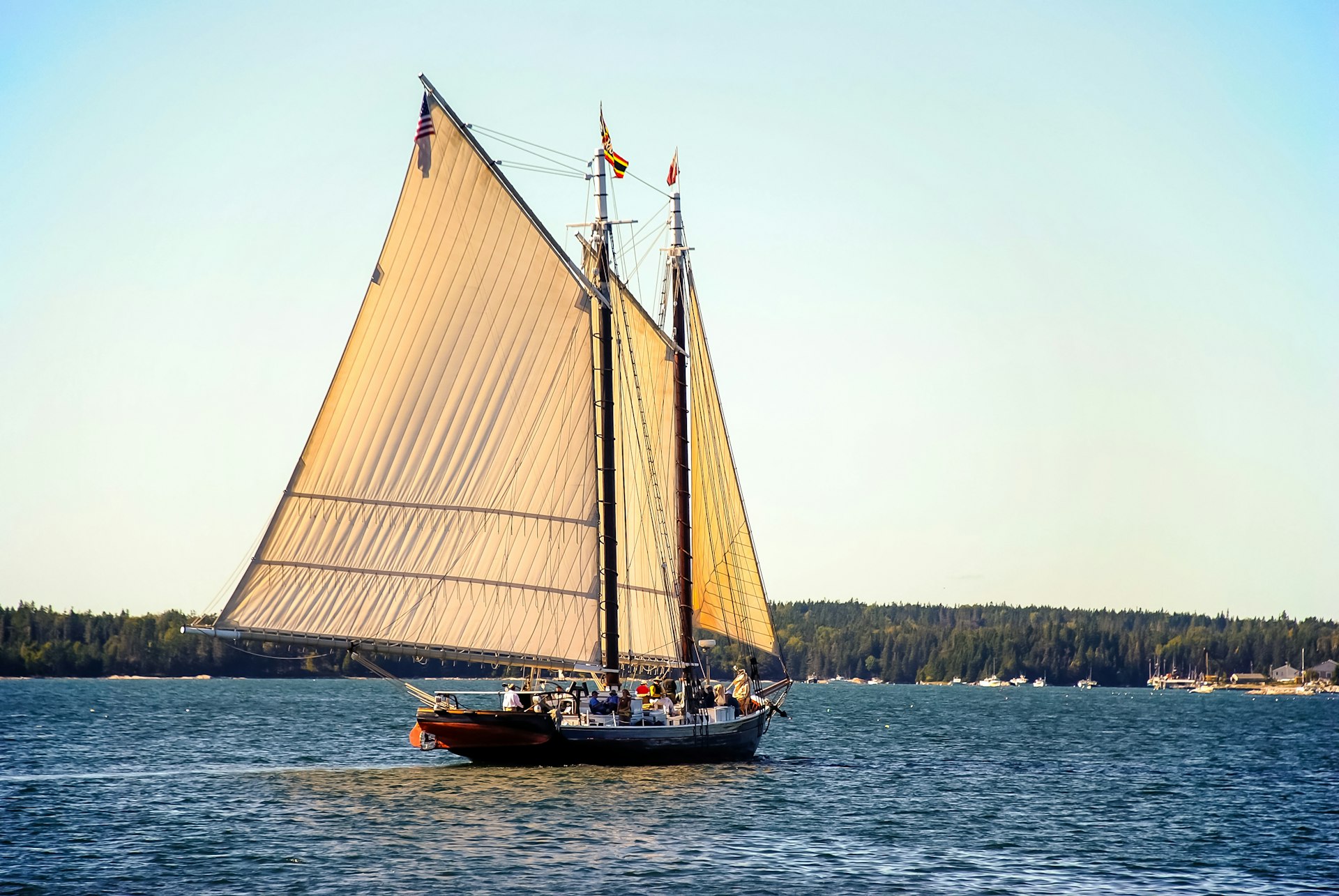 Backlit sails of a vintage Maine windjammer billow in the stiff breeze as the sailboat navigates the coast of Maine