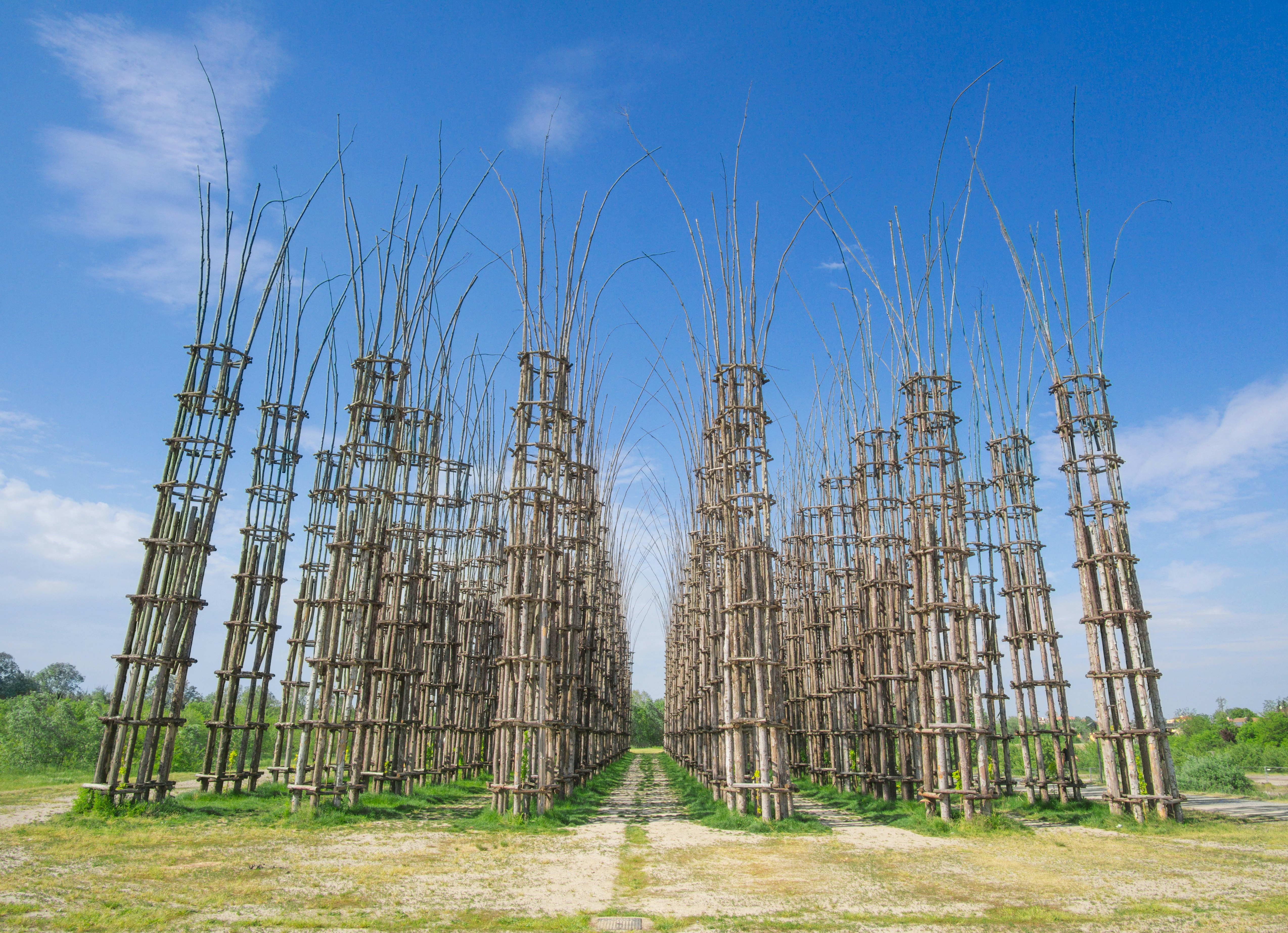 Lodi's Cattedrale Vegetale