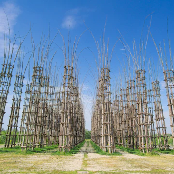 Lodi's Cattedrale Vegetale