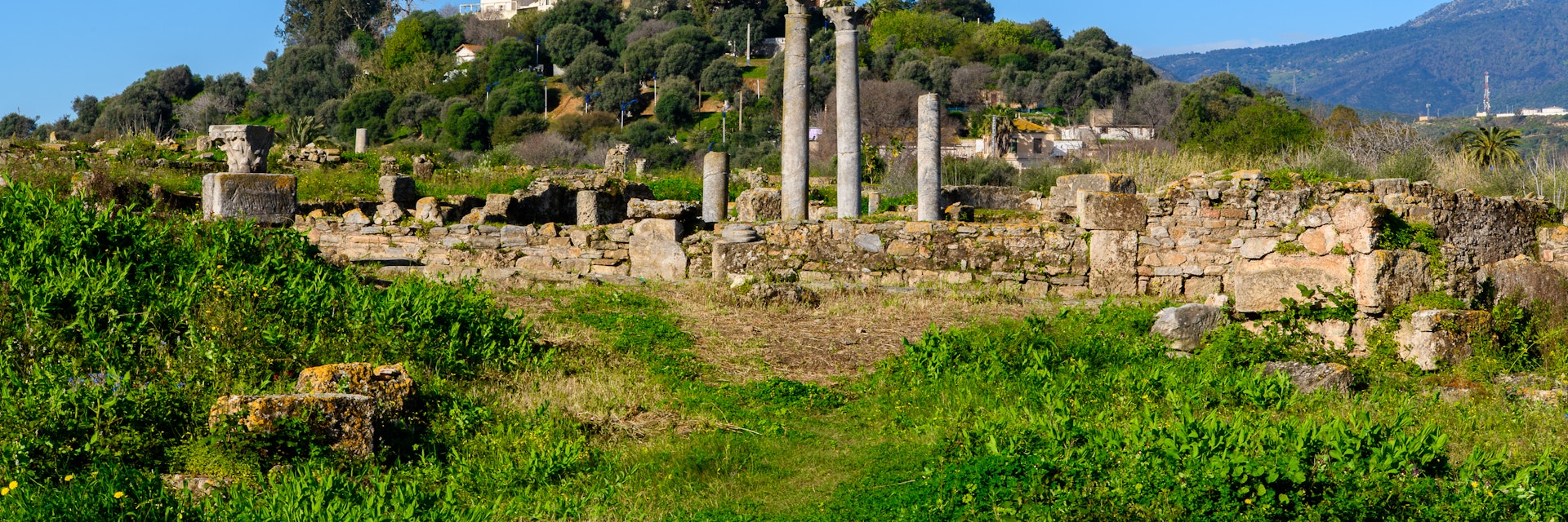 Ruins of Hippo Regius.