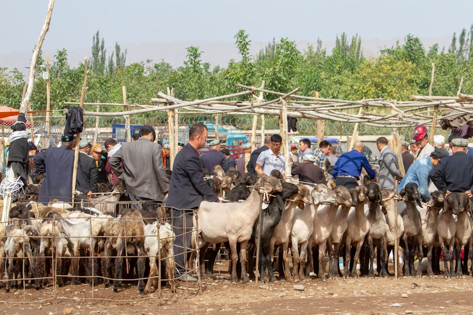 Buyers and sellers at sheep pens during the Sunday Livestock Market and Bazaar in Kashgar.