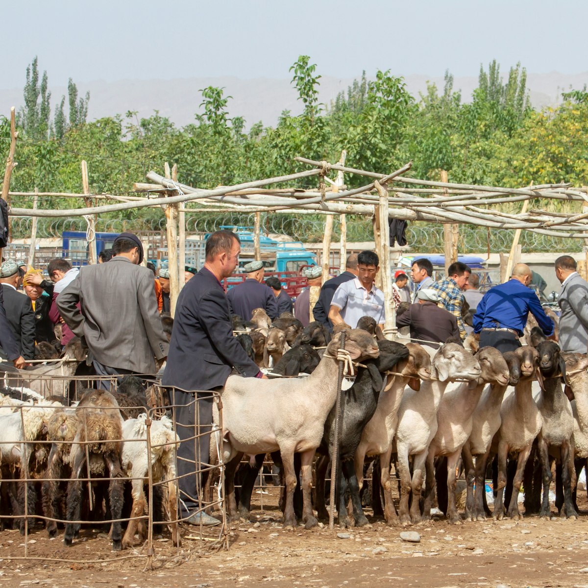 Buyers and sellers at sheep pens during the Sunday Livestock Market and Bazaar in Kashgar.