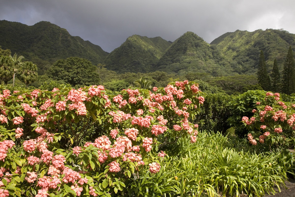 Lyon Arboretum botanical gardens inland of Honolulu, Hawaii.
