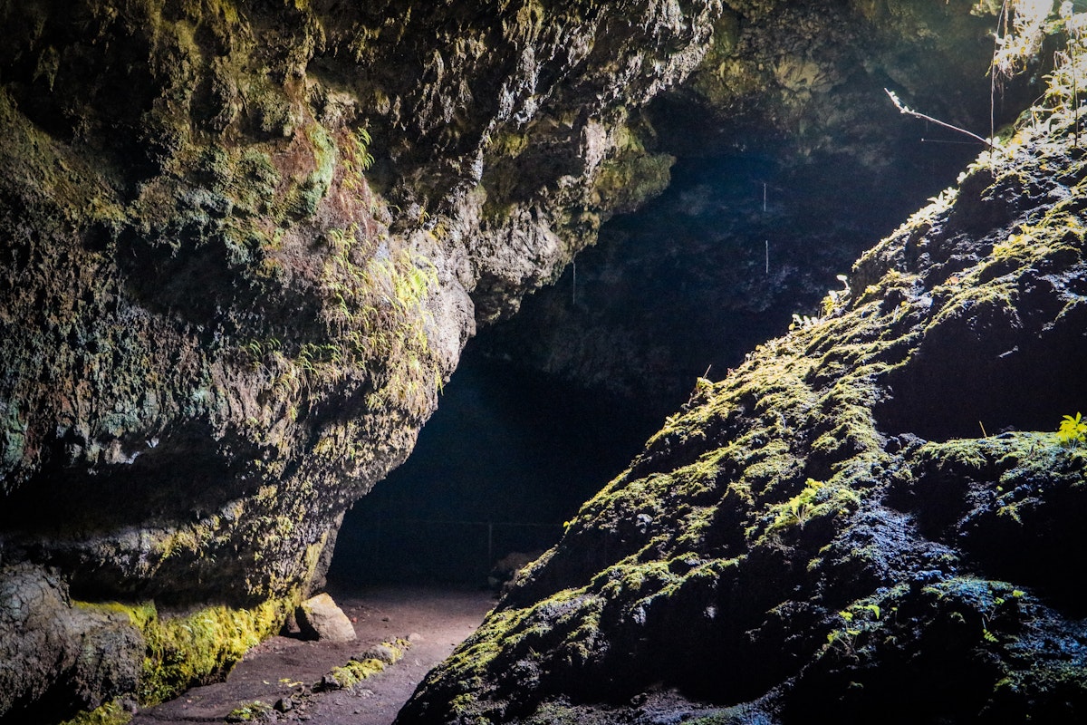 View from the entry to the Hana Lava Tube.

