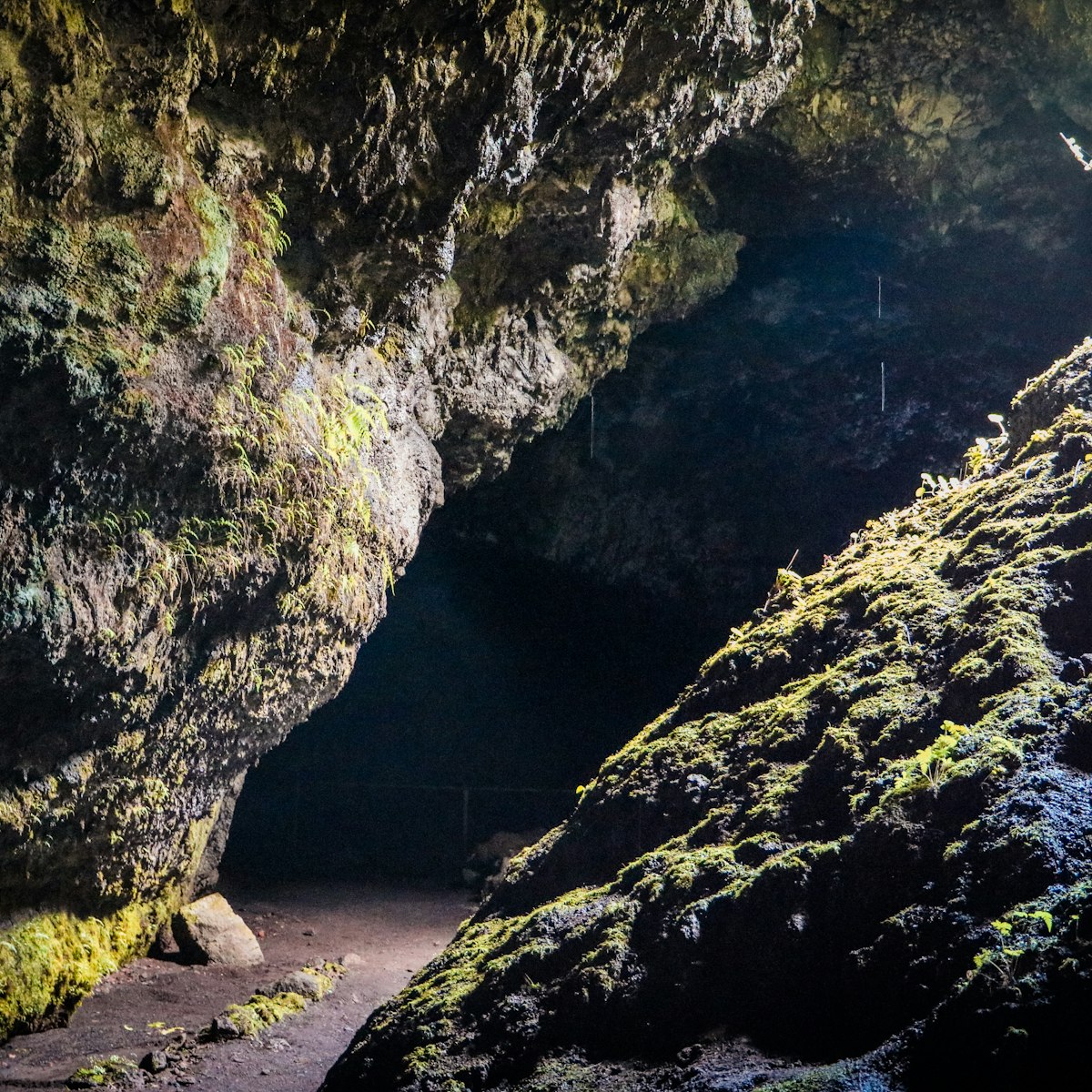 View from the entry to the Hana Lava Tube.

