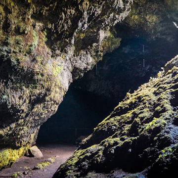 View from the entry to the Hana Lava Tube.