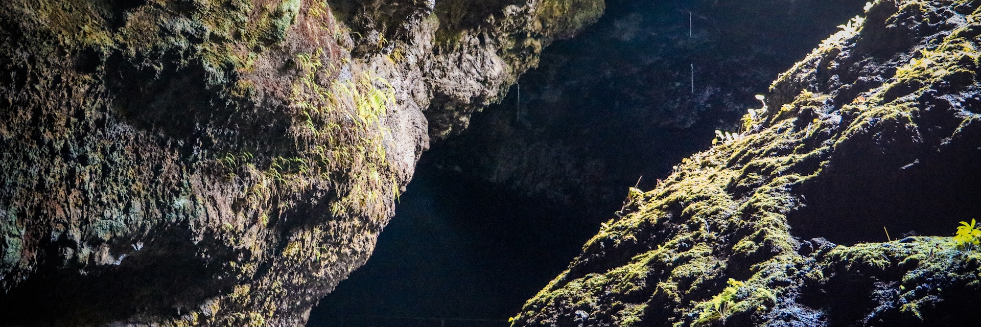 View from the entry to the Hana Lava Tube.