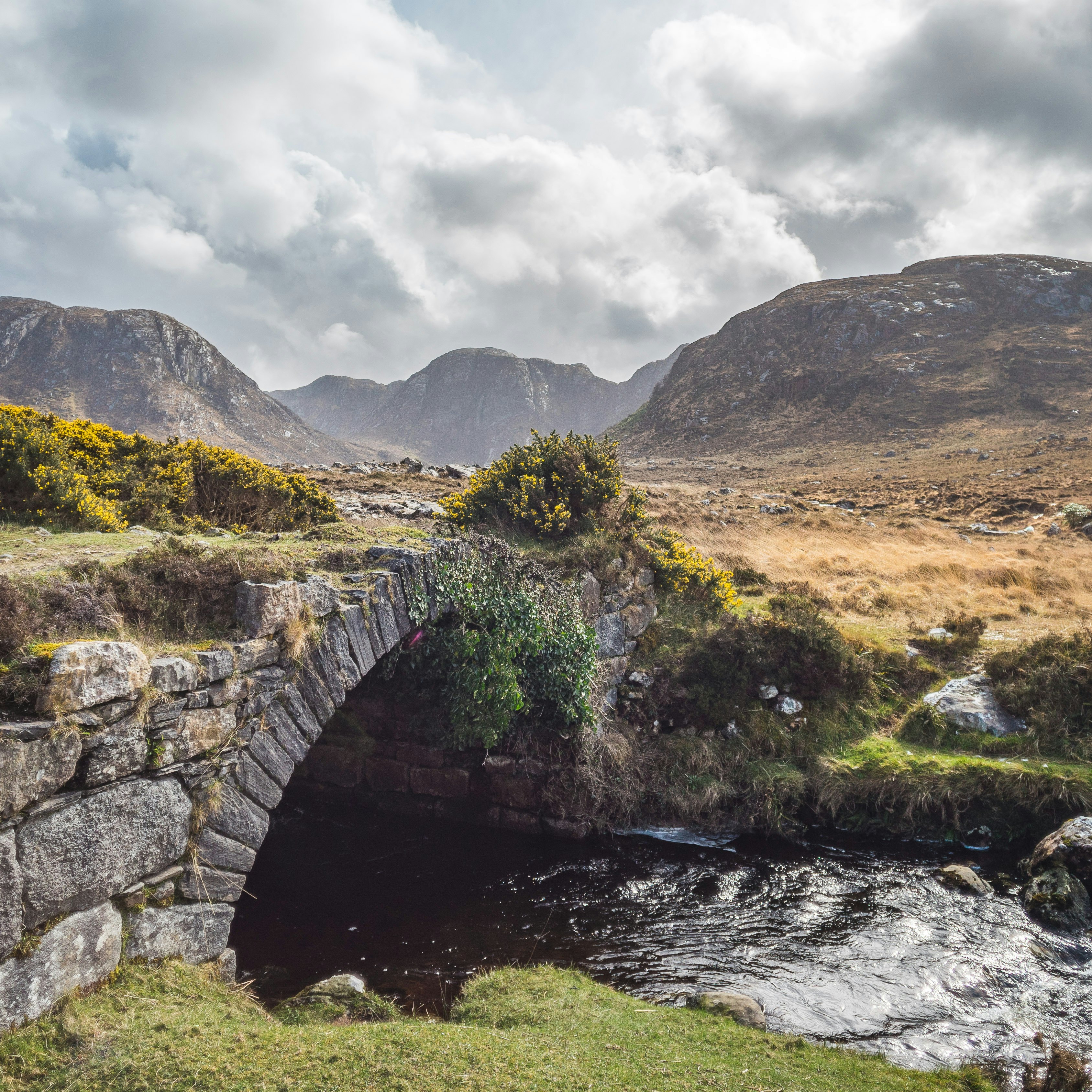 A bridge in Poisoned Glen.
