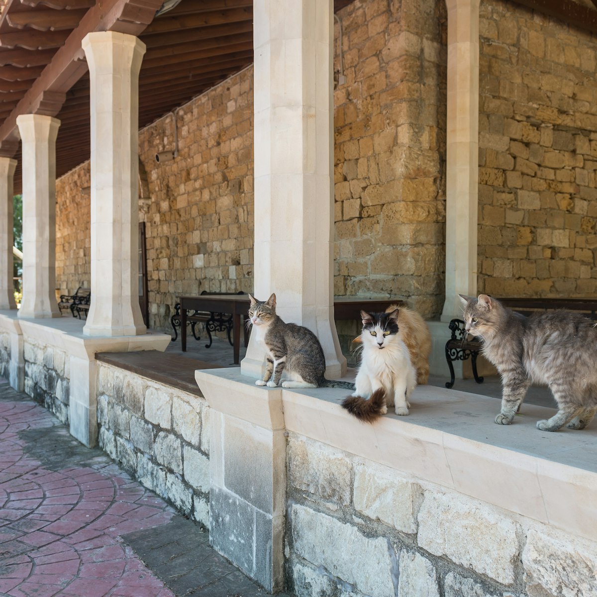 Holy Monastery of St Nicholas of the Cats on Cyprus; Shutterstock ID 1399043288;