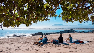 Family beach day in Gordon's Bay, South Africa; Shutterstock ID 1463248628; your: Claire Naylor; gl: 65050; netsuite: Online ed; full: Cape Town day trips
1463248628