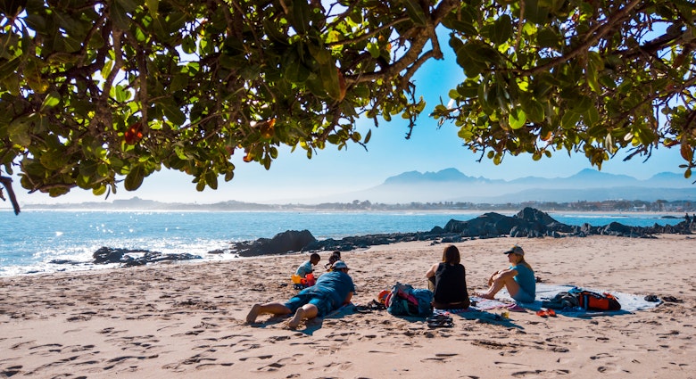 Family beach day in Gordon's Bay, South Africa; Shutterstock ID 1463248628; your: Claire Naylor; gl: 65050; netsuite: Online ed; full: Cape Town day trips
1463248628