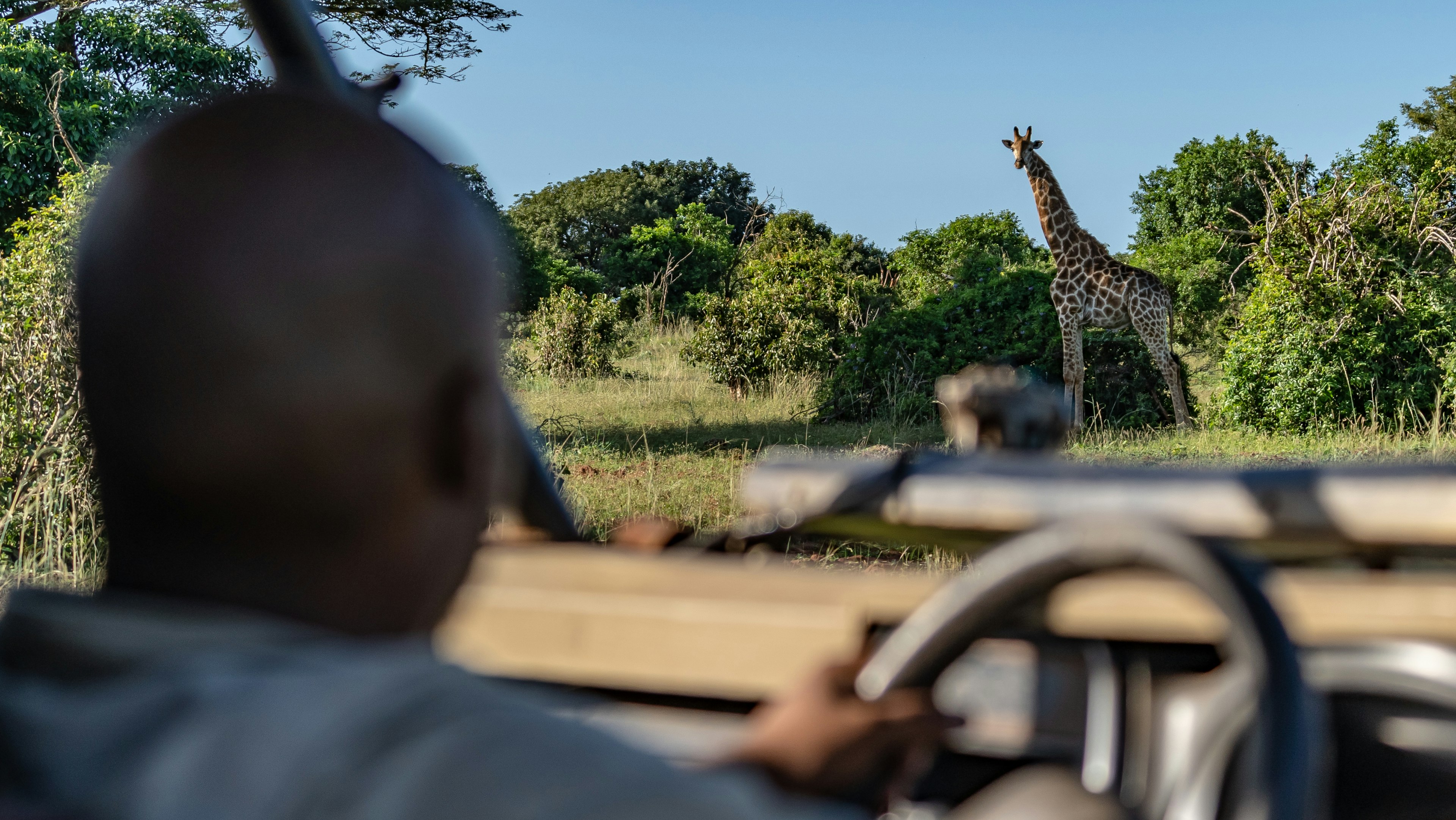 Always tip your guides and drivers. Shutterstock