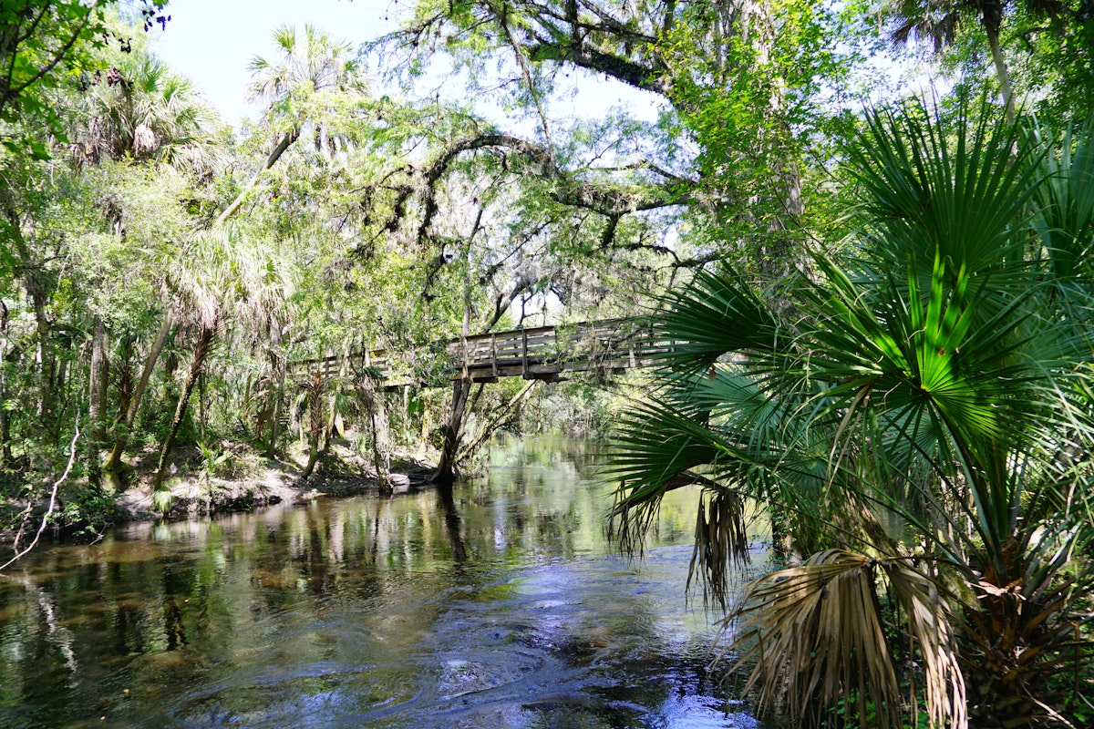 Hillsborough river state park at Tampa, Florida.
