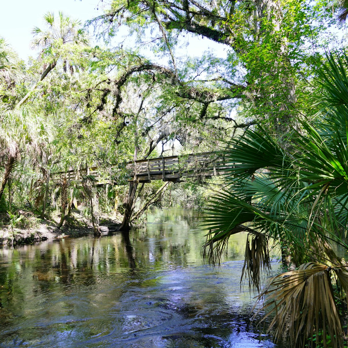 Hillsborough river state park at Tampa, Florida.
