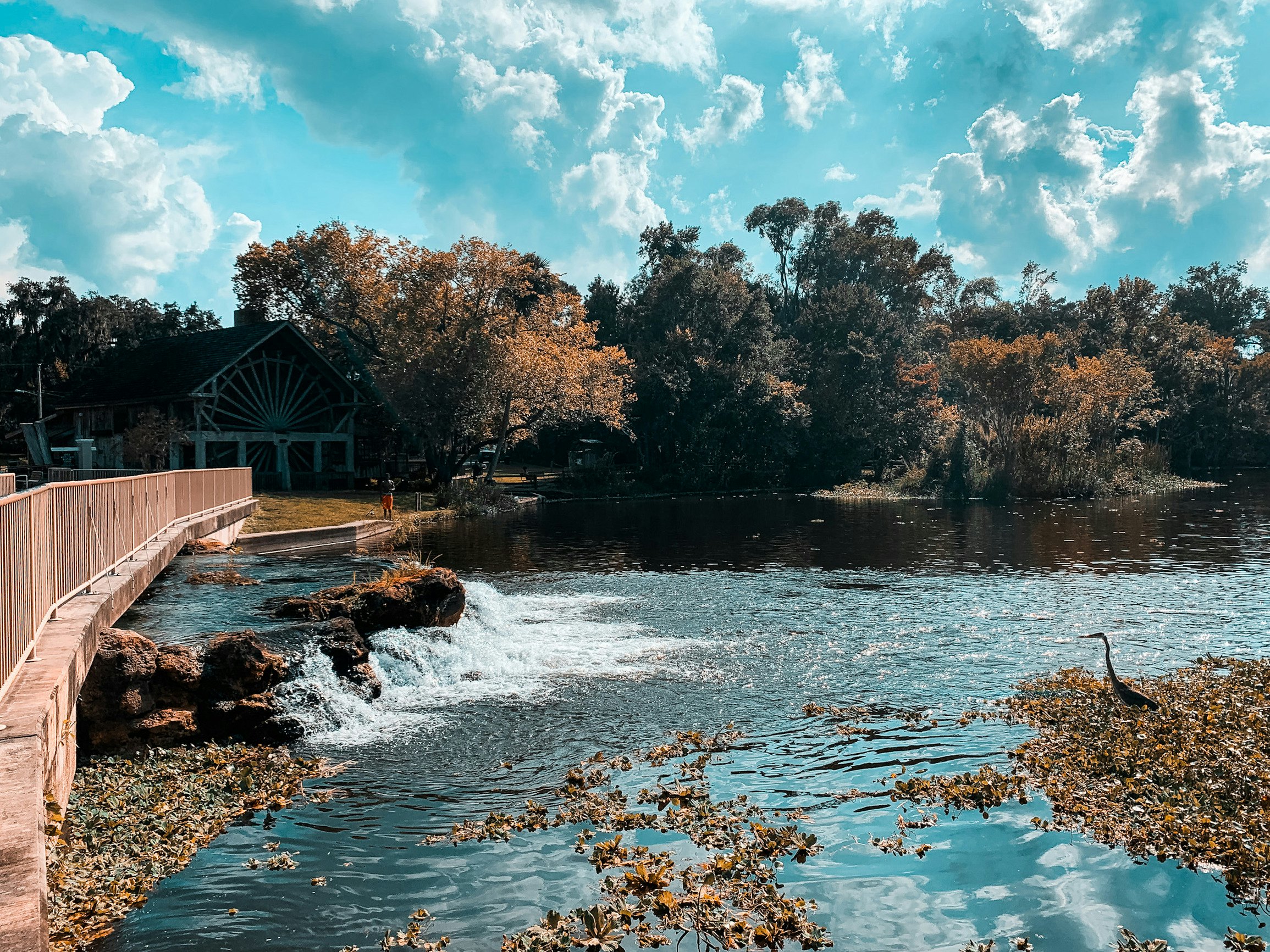 De Leon Springs State Park, which features a sugar cane mill that was once powered by the spring in the 1830's, shown in the background.